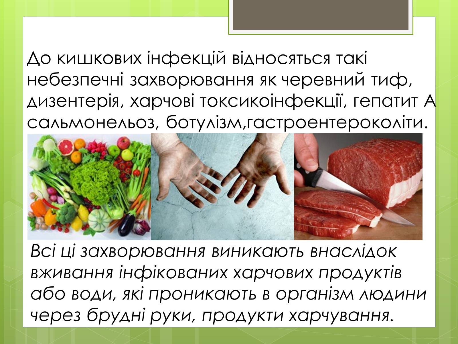 Презентація на тему «Кишкові інфекції» - Слайд #3 Презентація на тему «Кишкові інфекції» - Слайд #3