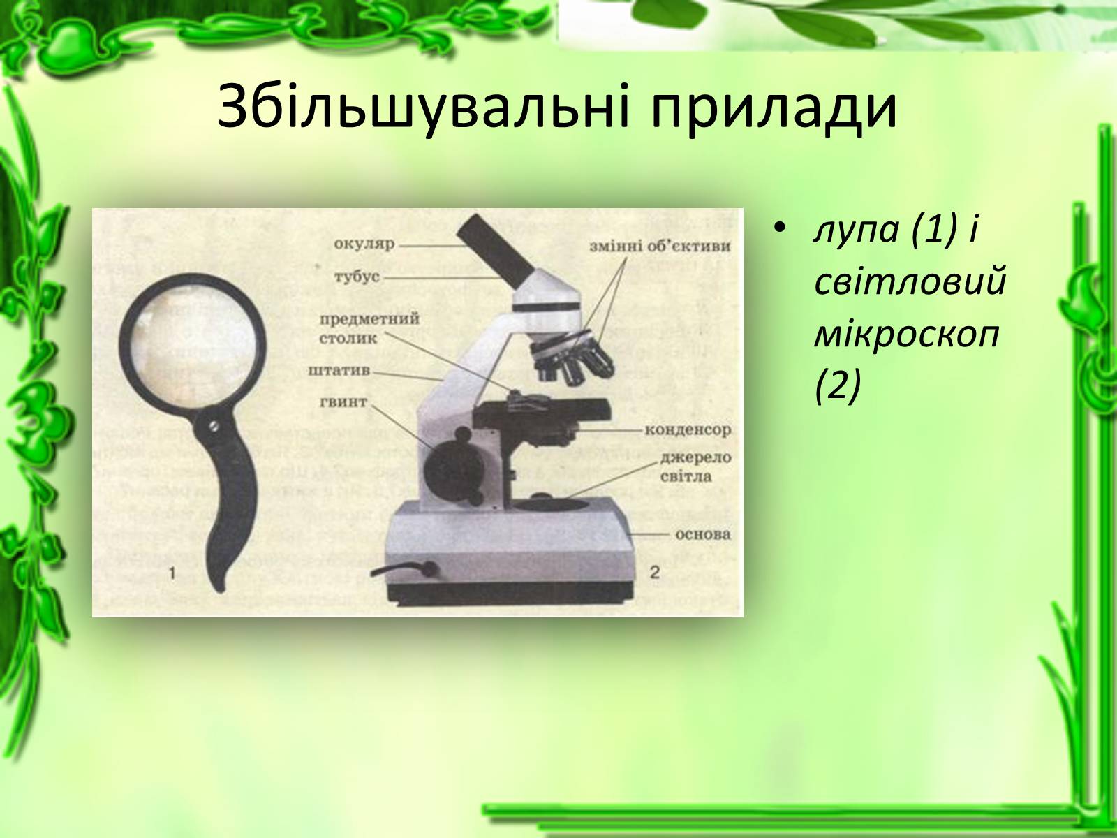 Презентація на тему «Історія відкриття клітини» - Слайд #9 Презентація на тему «Історія відкриття клітини» - Слайд #9