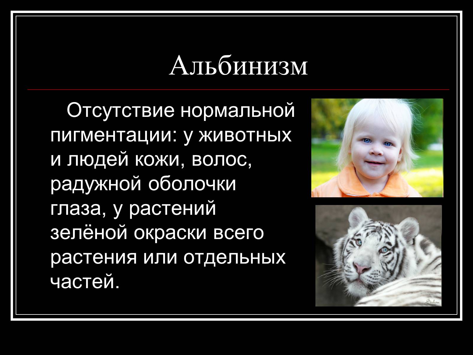 Презентація на тему «Генетика человека» (варіант 1) - Слайд #13 Презентація на тему «Генетика человека» (варіант 1) - Слайд #13
