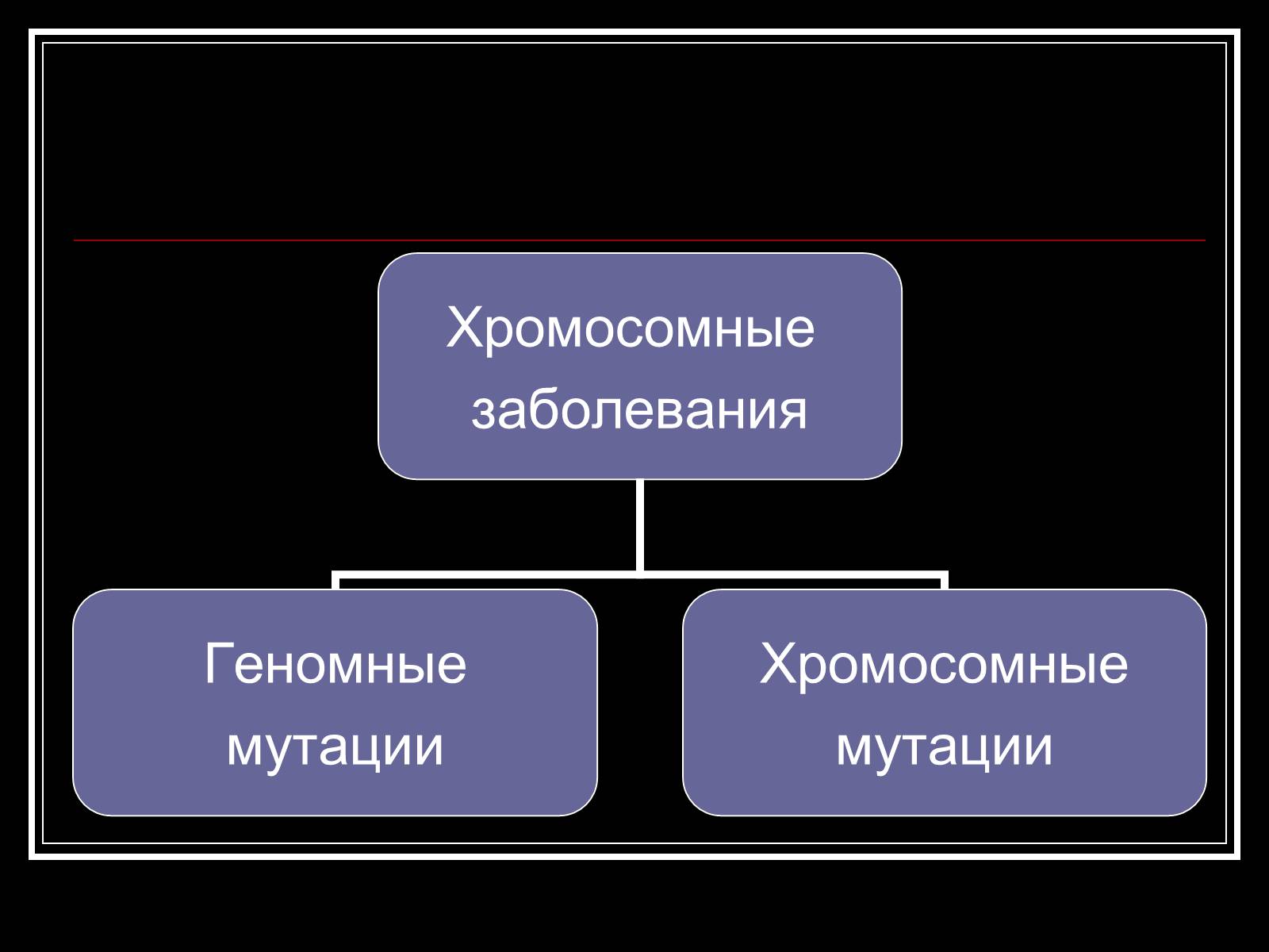 Презентація на тему «Генетика человека» (варіант 1) - Слайд #14 Презентація на тему «Генетика человека» (варіант 1) - Слайд #14
