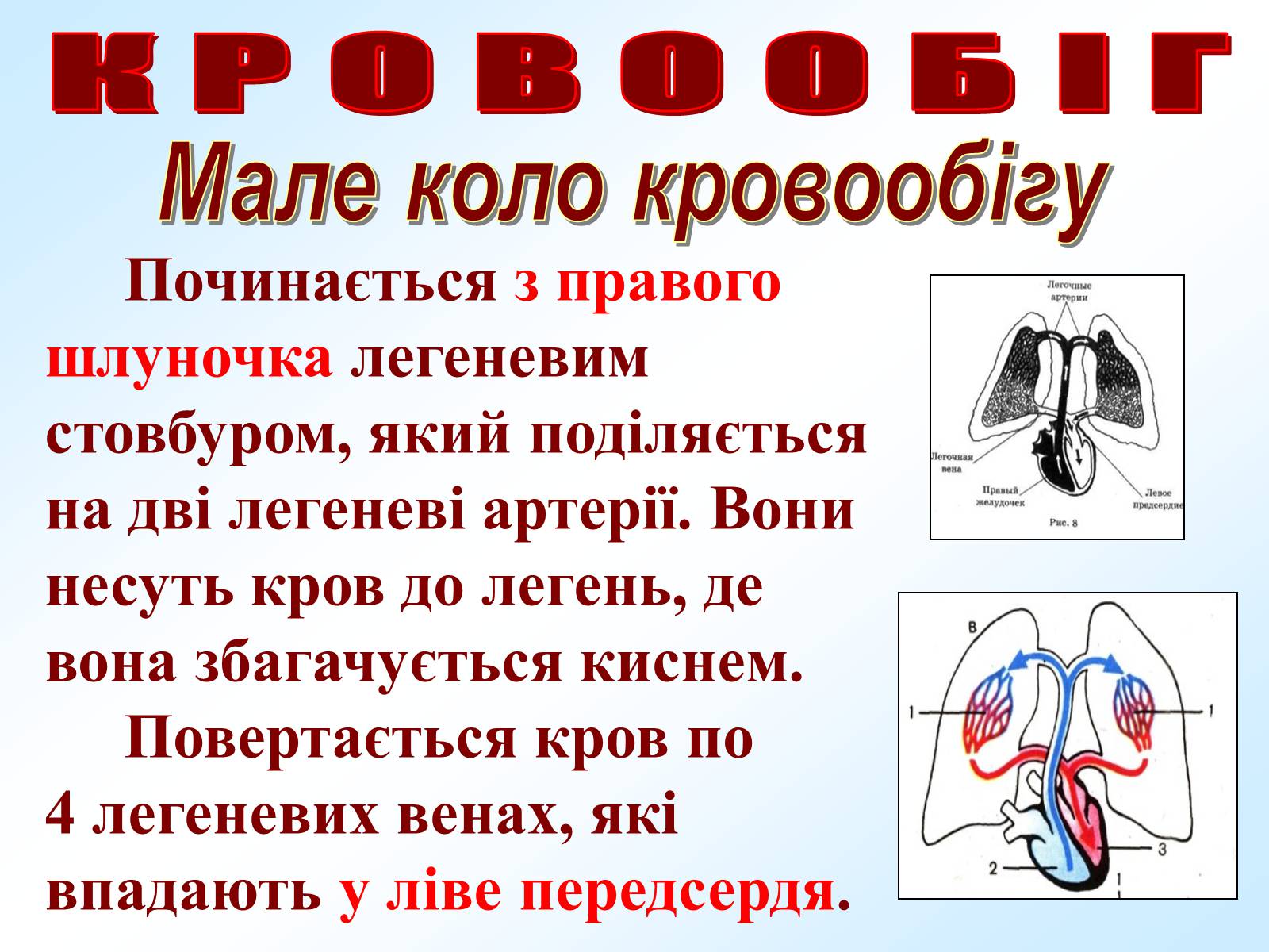 Презентація на тему «Кровообіг» - Слайд #13 Презентація на тему «Кровообіг» - Слайд #13