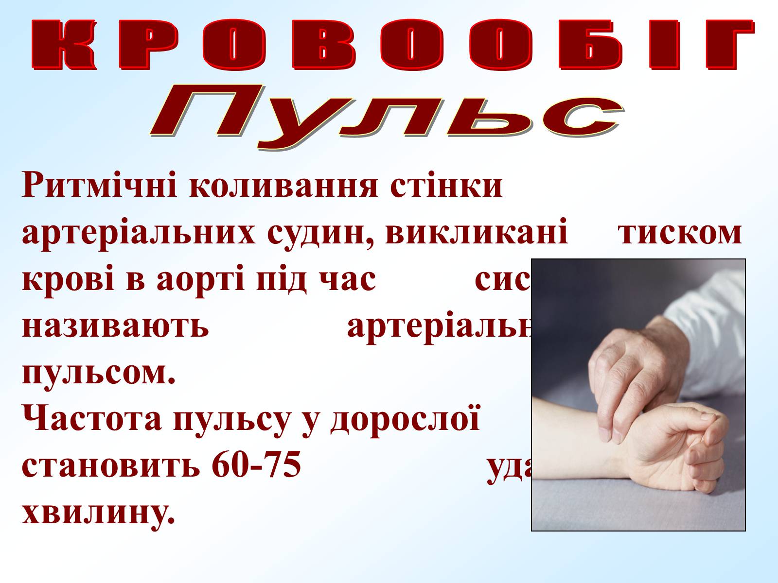 Презентація на тему «Кровообіг» - Слайд #25 Презентація на тему «Кровообіг» - Слайд #25