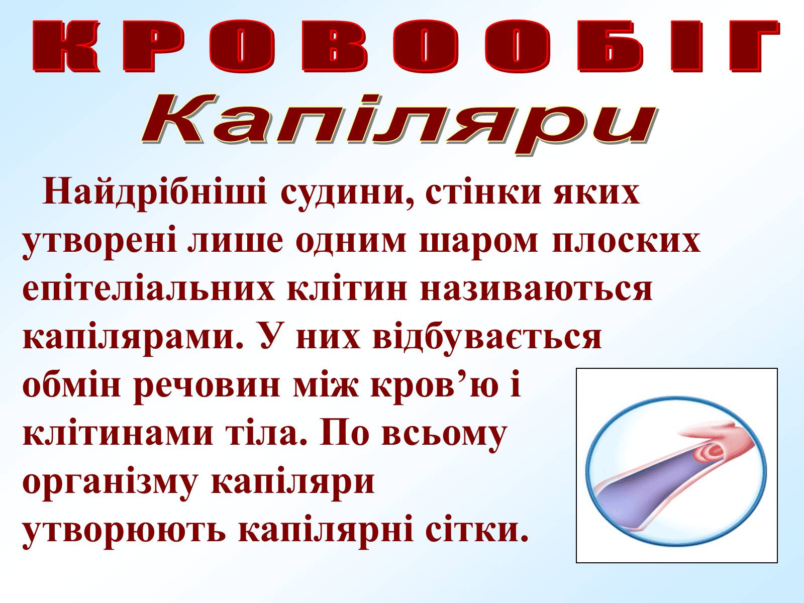 Презентація на тему «Кровообіг» - Слайд #8 Презентація на тему «Кровообіг» - Слайд #8