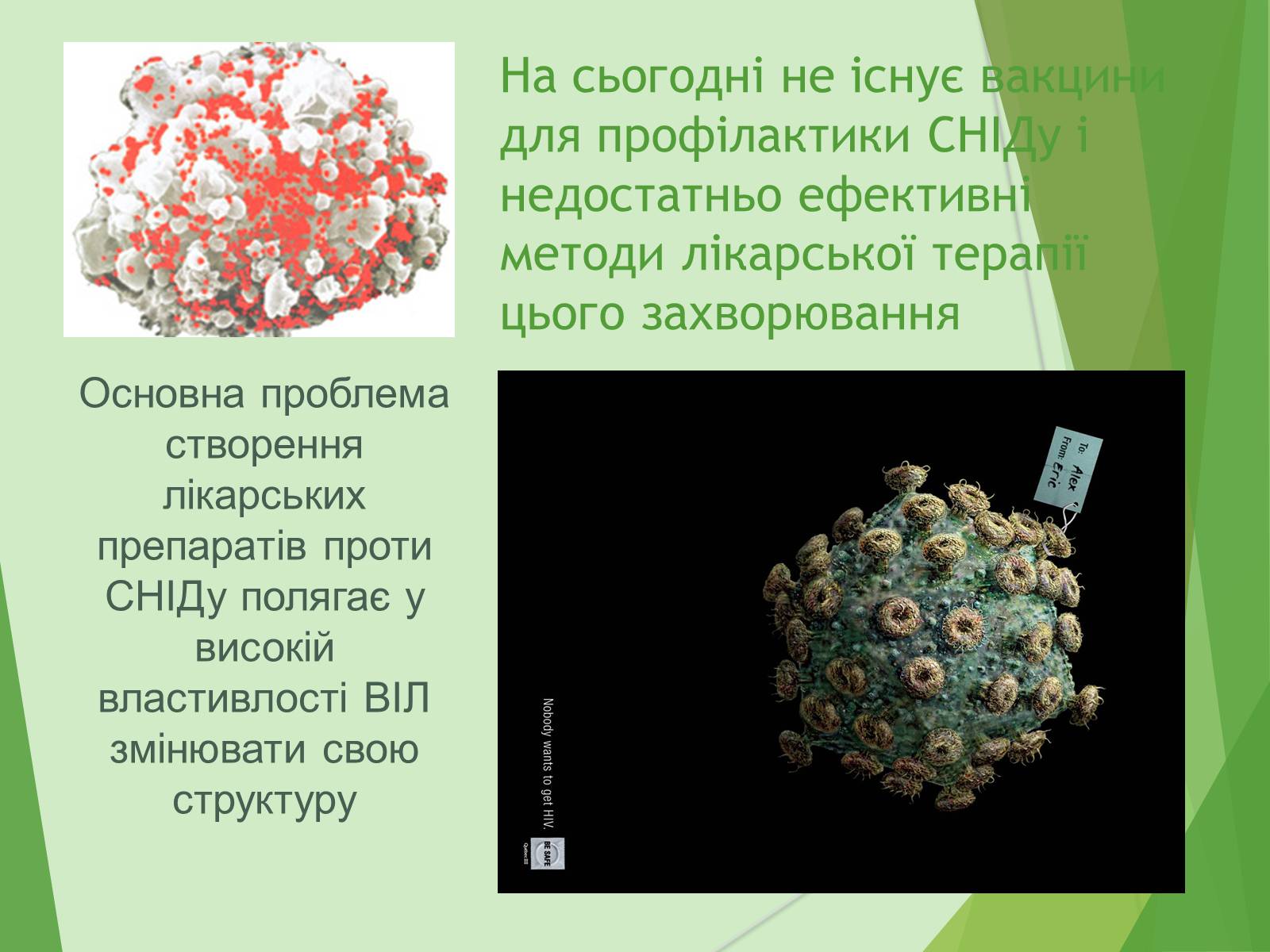 Презентація на тему «ВІЛ. СНІД. інфекції ІПСШ: шляхи передачі і методи захисту» (варіант 7) - Слайд #21 Презентація на тему «ВІЛ. СНІД. інфекції ІПСШ: шляхи передачі і методи захисту» (варіант 7) - Слайд #21