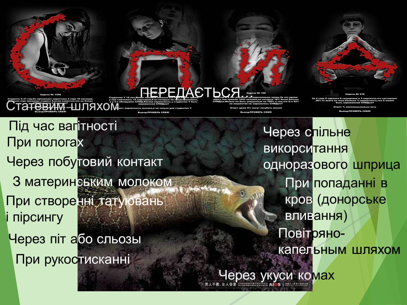 Презентація на тему «ВІЛ. СНІД. інфекції ІПСШ: шляхи передачі і методи захисту» (варіант 7) - Слайд #24 Презентація на тему «ВІЛ. СНІД. інфекції ІПСШ: шляхи передачі і методи захисту» (варіант 7) - Слайд #24
