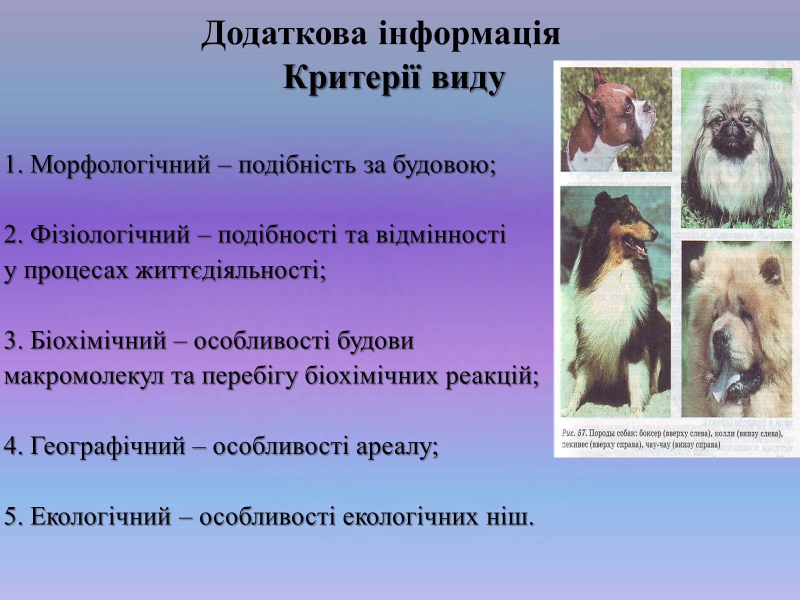 Презентація на тему «Видоутворення. Мікроеволюція» - Слайд #7 Презентація на тему «Видоутворення. Мікроеволюція» - Слайд #7