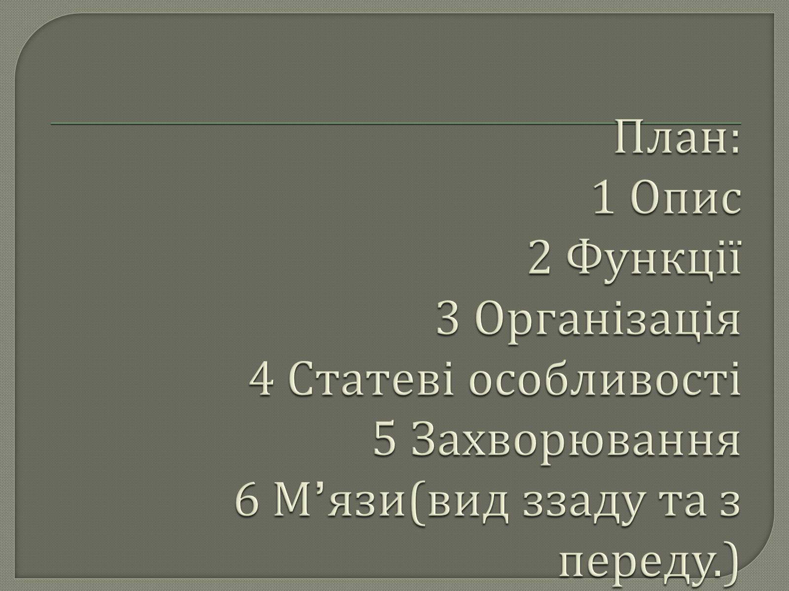Презентація на тему «Будова Скелету» - Слайд #2 Презентація на тему «Будова Скелету» - Слайд #2