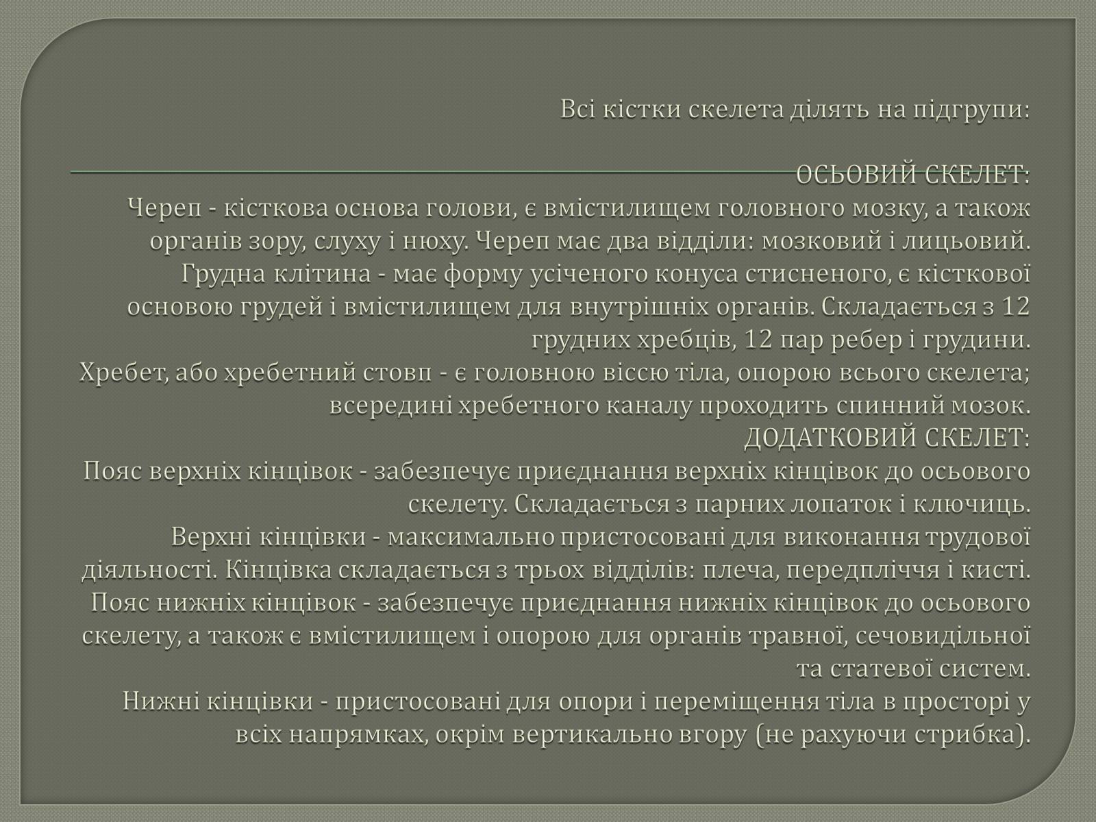 Презентація на тему «Будова Скелету» - Слайд #6 Презентація на тему «Будова Скелету» - Слайд #6