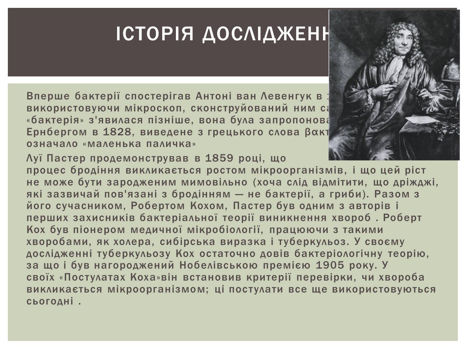 Презентація на тему «Виникнення бактерій» - Слайд #3 Презентація на тему «Виникнення бактерій» - Слайд #3