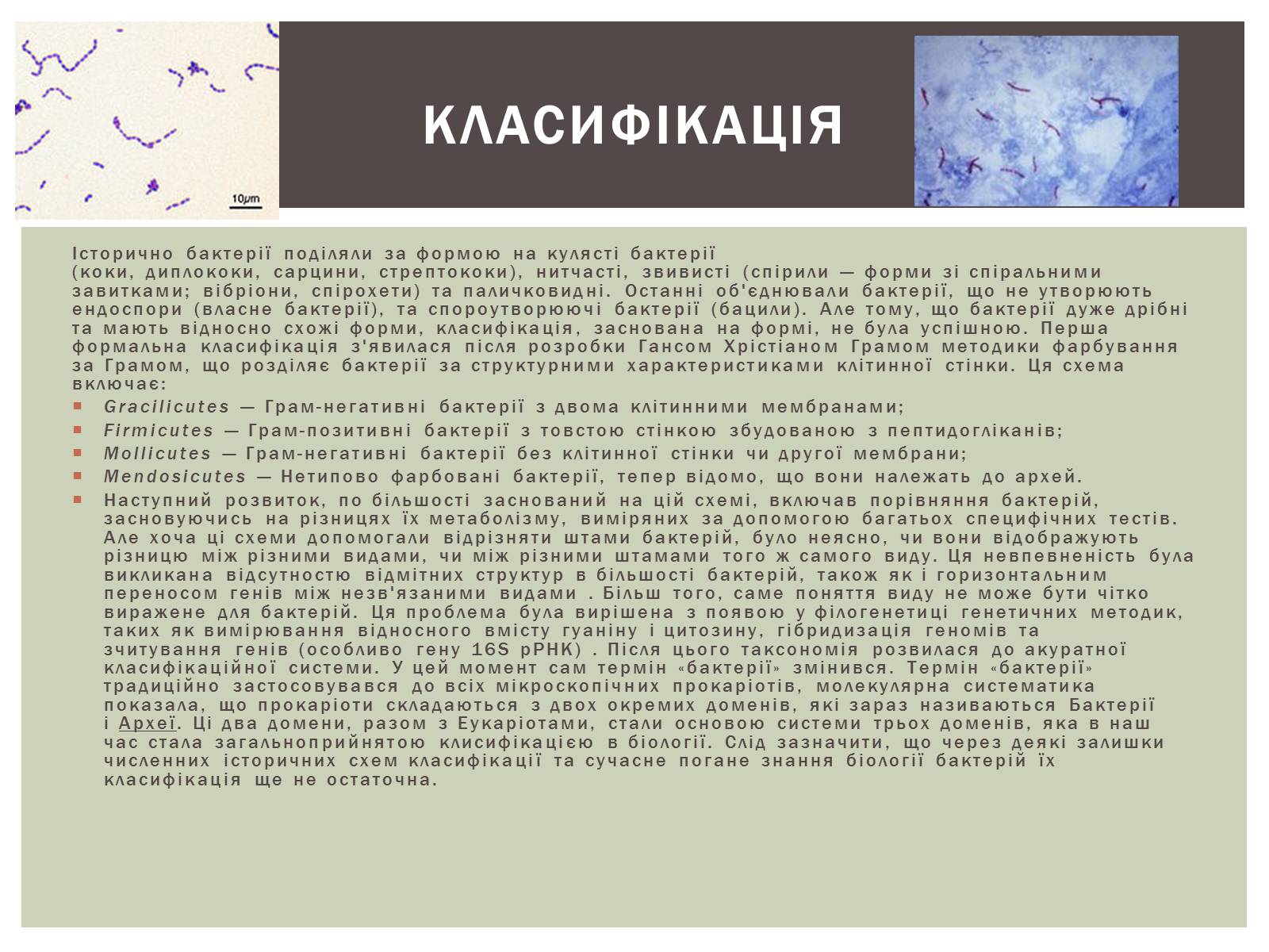 Презентація на тему «Виникнення бактерій» - Слайд #6 Презентація на тему «Виникнення бактерій» - Слайд #6