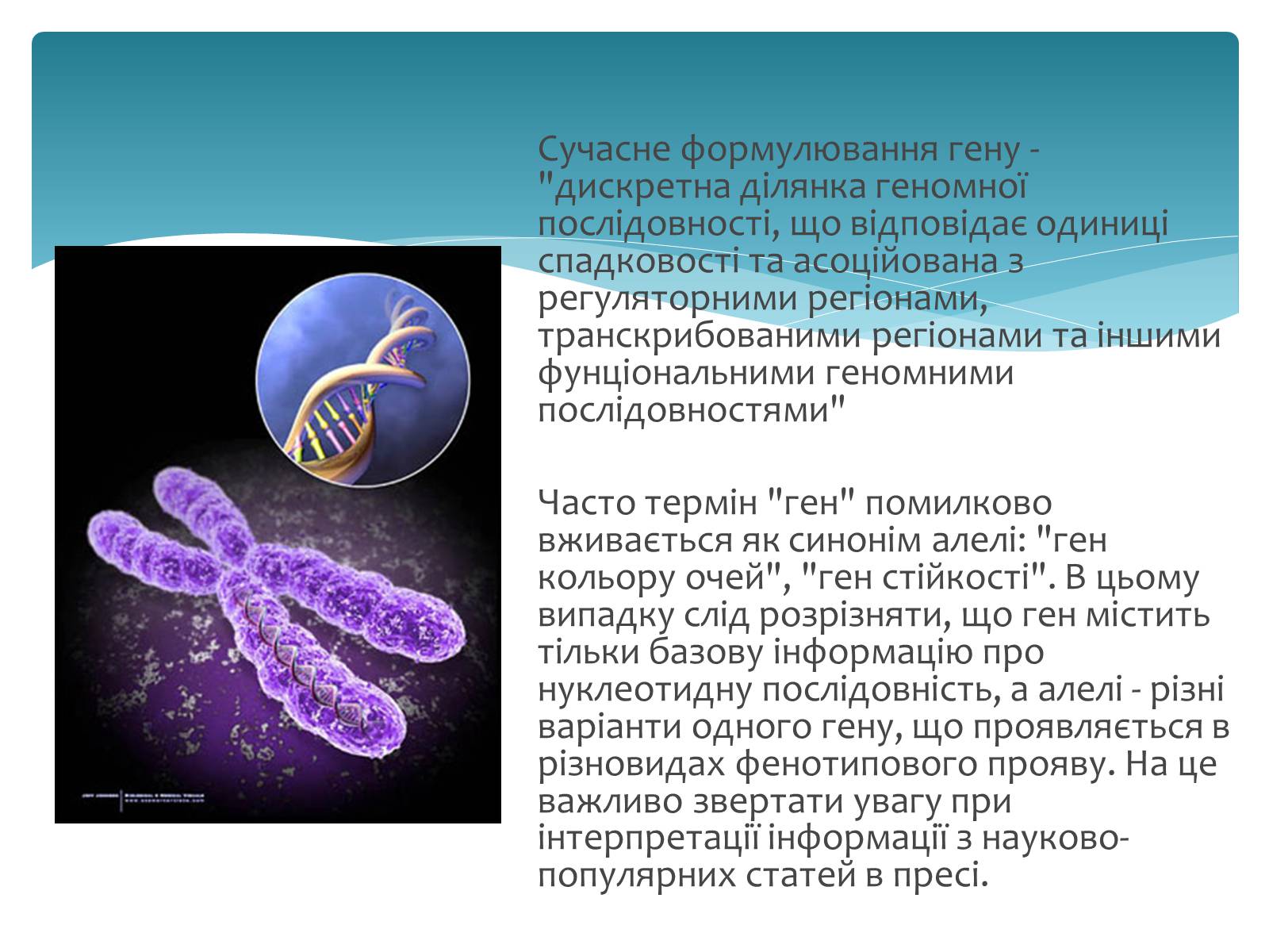 Презентація на тему «Історія дослідження генів» - Слайд #7 Презентація на тему «Історія дослідження генів» - Слайд #7