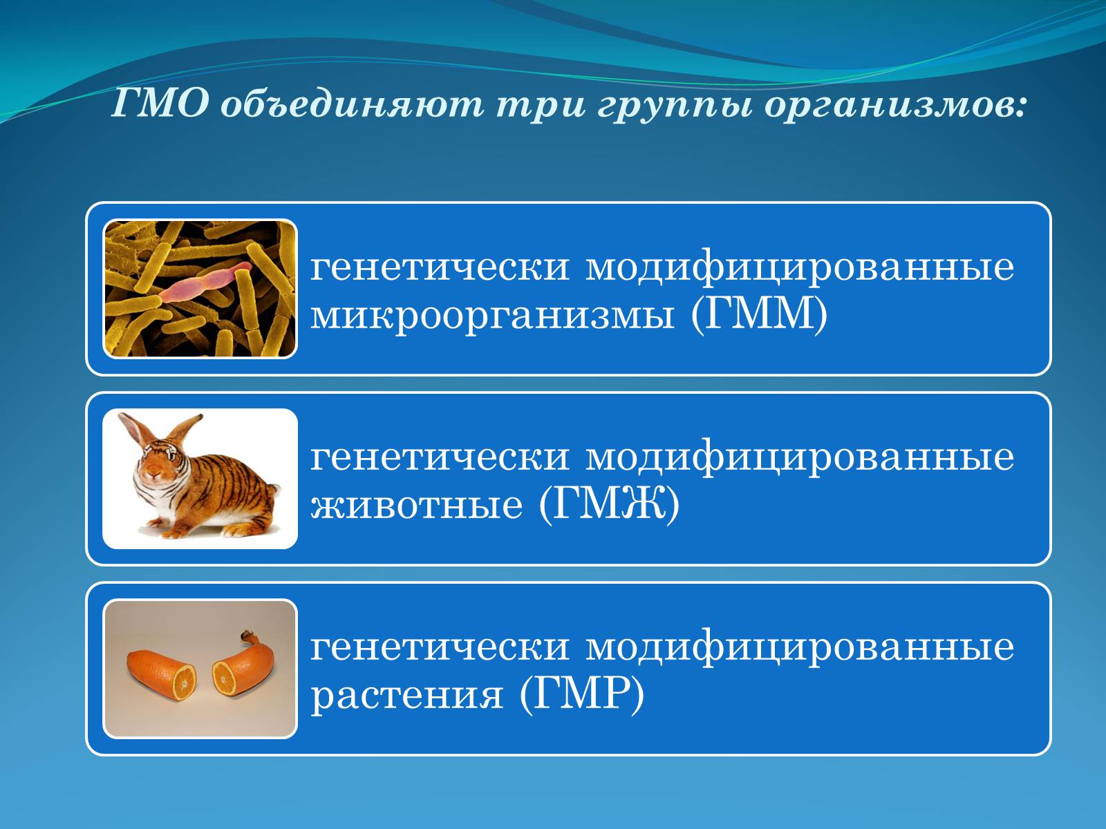Презентація на тему «ГМО в пищевой промышленности» - Слайд #3 Презентація на тему «ГМО в пищевой промышленности» - Слайд #3