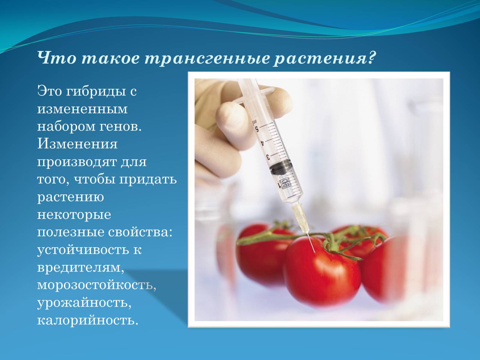 Презентація на тему «ГМО в пищевой промышленности» - Слайд #4 Презентація на тему «ГМО в пищевой промышленности» - Слайд #4