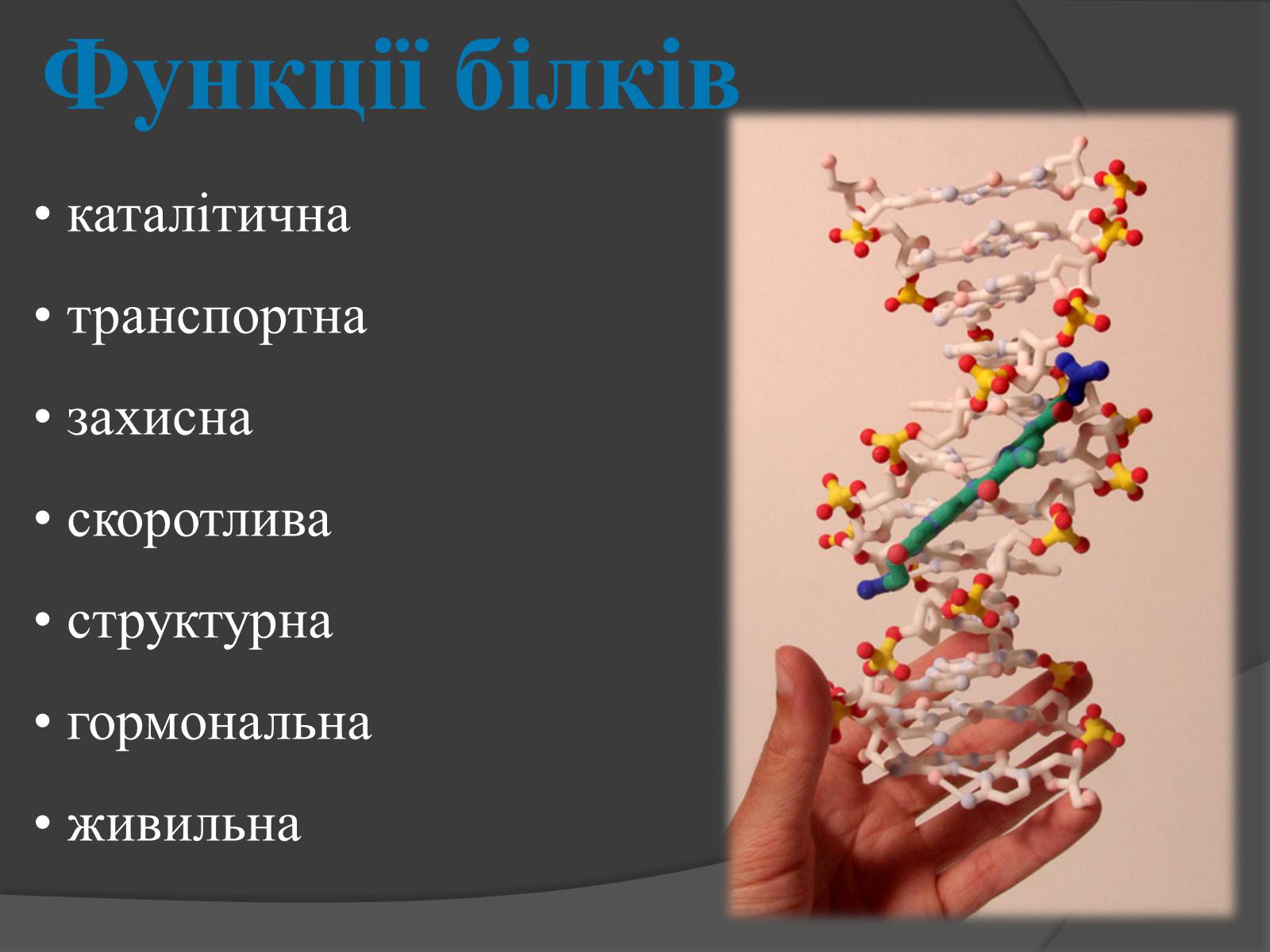 Презентація на тему «Білки, жири, вуглеводи» (варіант 3) - Слайд #5 Презентація на тему «Білки, жири, вуглеводи» (варіант 3) - Слайд #5