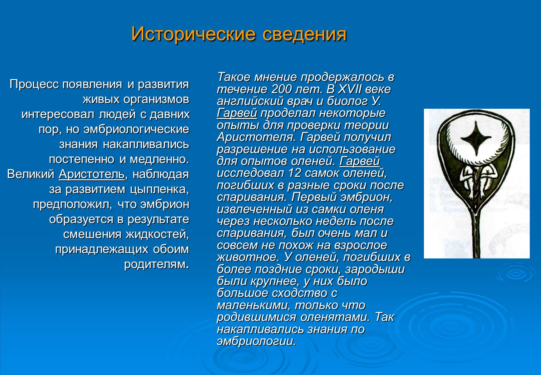 Презентація на тему «Онтогенез» (варіант 5) - Слайд #3 Презентація на тему «Онтогенез» (варіант 5) - Слайд #3