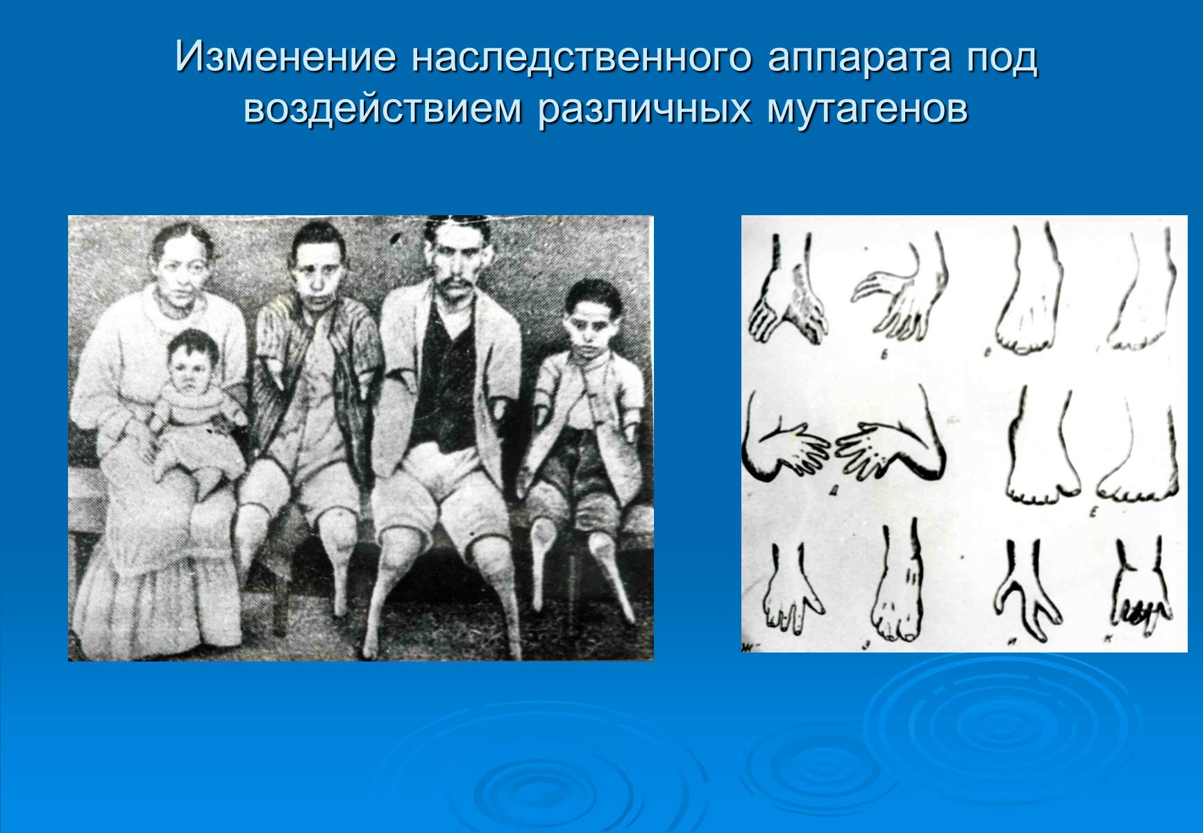 Презентація на тему «Онтогенез» (варіант 5) - Слайд #9 Презентація на тему «Онтогенез» (варіант 5) - Слайд #9