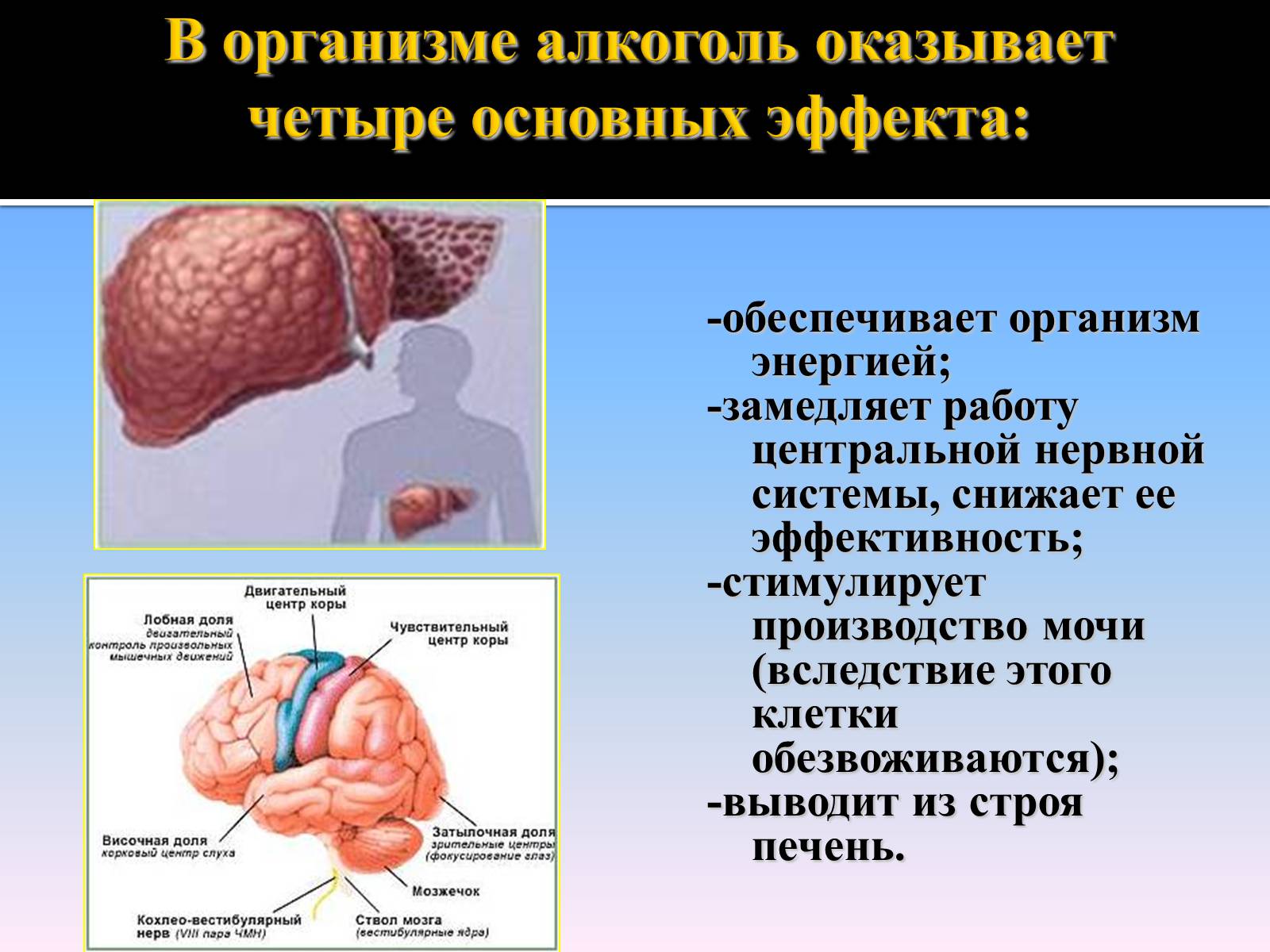 Презентація на тему «Курение» - Слайд #25 Презентація на тему «Курение» - Слайд #25