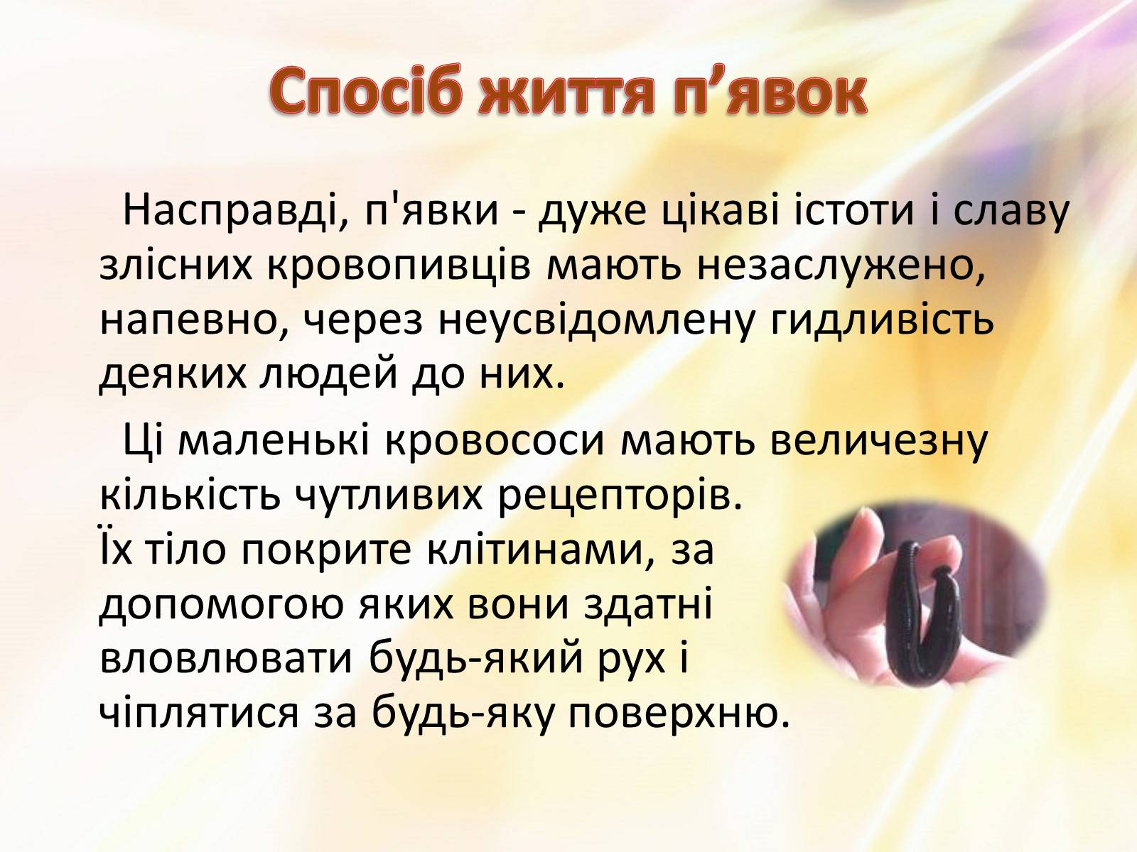 Презентація на тему «П’явки» - Слайд #5 Презентація на тему «П’явки» - Слайд #5