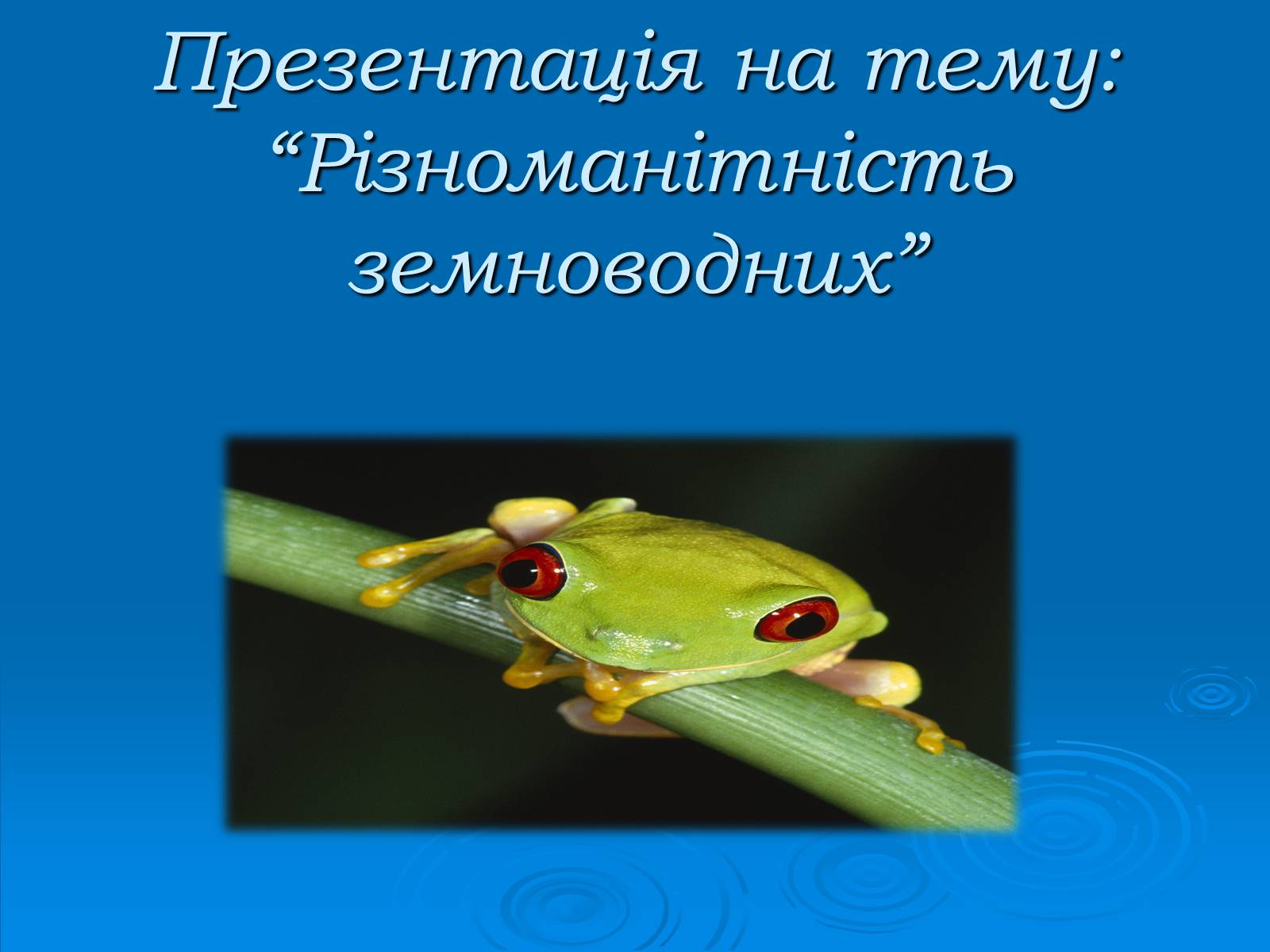 Презентація на тему «Різноманітність земноводних» (варіант 2) - Слайд #1 Презентація на тему «Різноманітність земноводних» (варіант 2) - Слайд #1