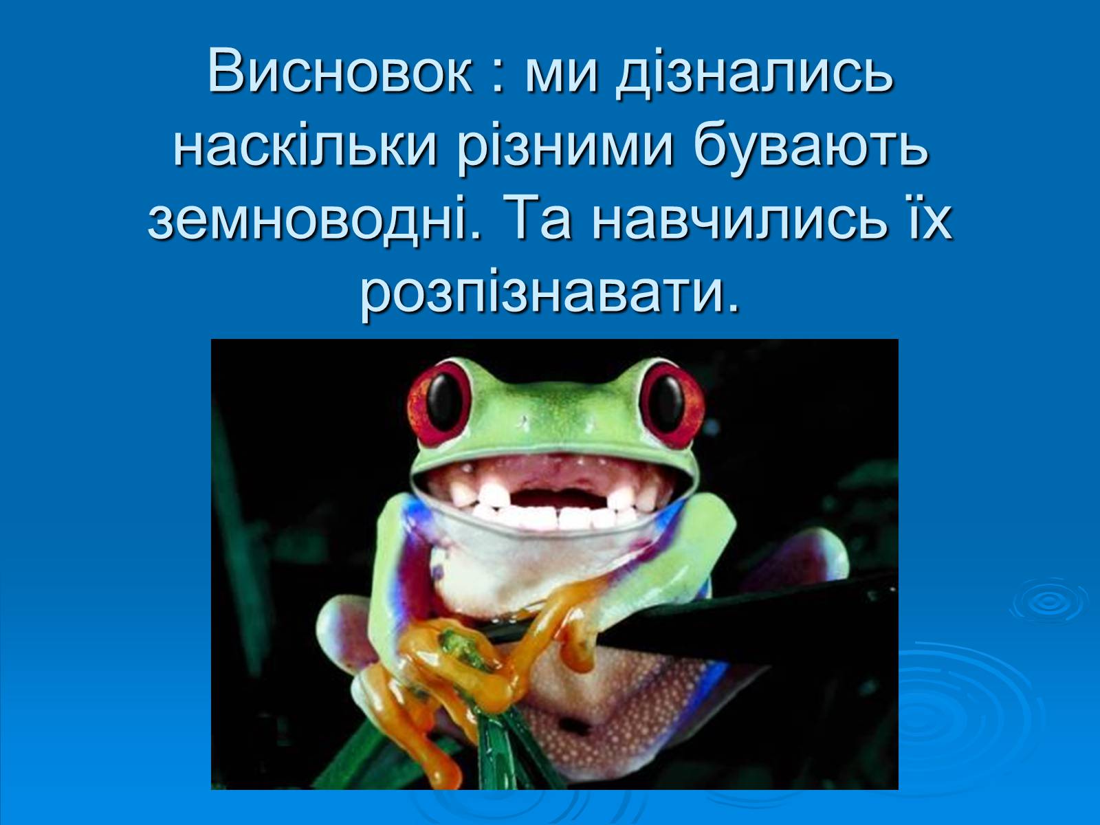 Презентація на тему «Різноманітність земноводних» (варіант 2) - Слайд #11 Презентація на тему «Різноманітність земноводних» (варіант 2) - Слайд #11