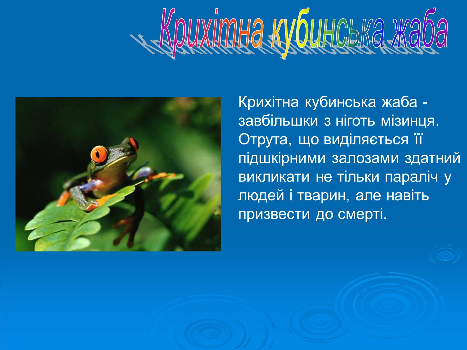 Презентація на тему «Різноманітність земноводних» (варіант 2) - Слайд #9 Презентація на тему «Різноманітність земноводних» (варіант 2) - Слайд #9