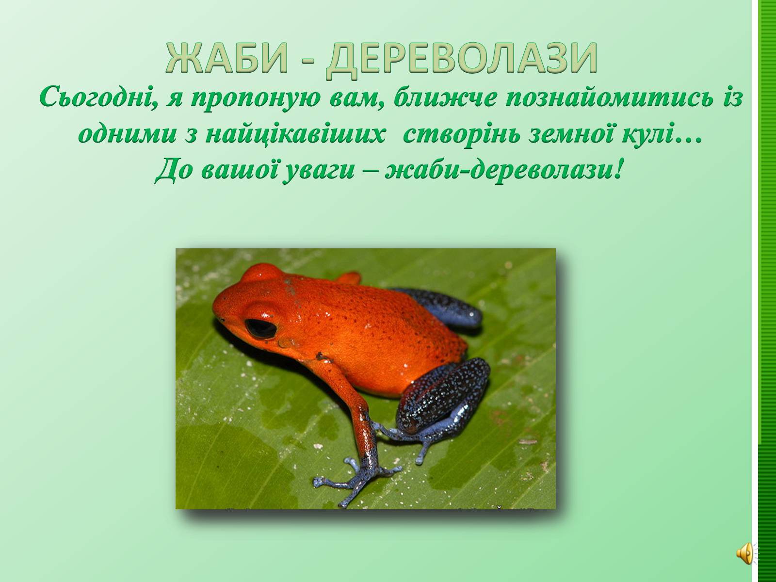 Презентація на тему «Жаби» - Слайд #2 Презентація на тему «Жаби» - Слайд #2
