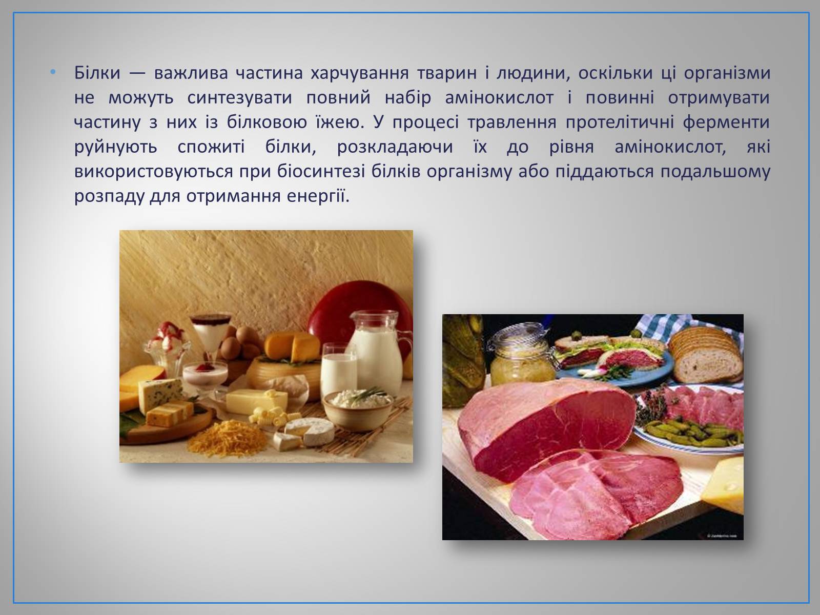 Презентація на тему «Білки, жири, вуглеводи» (варіант 2) - Слайд #5 Презентація на тему «Білки, жири, вуглеводи» (варіант 2) - Слайд #5