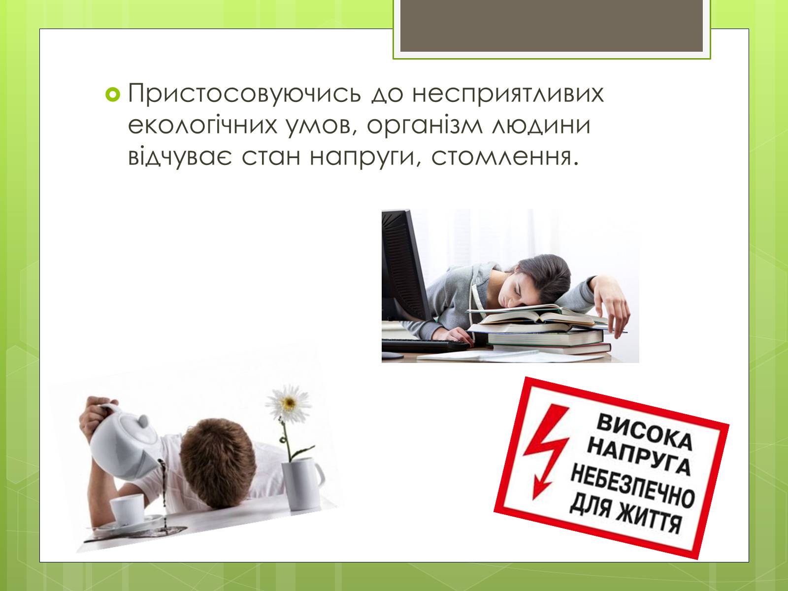 Презентація на тему «Адаптація людини до навколишнього середовища» - Слайд #15 Презентація на тему «Адаптація людини до навколишнього середовища» - Слайд #15