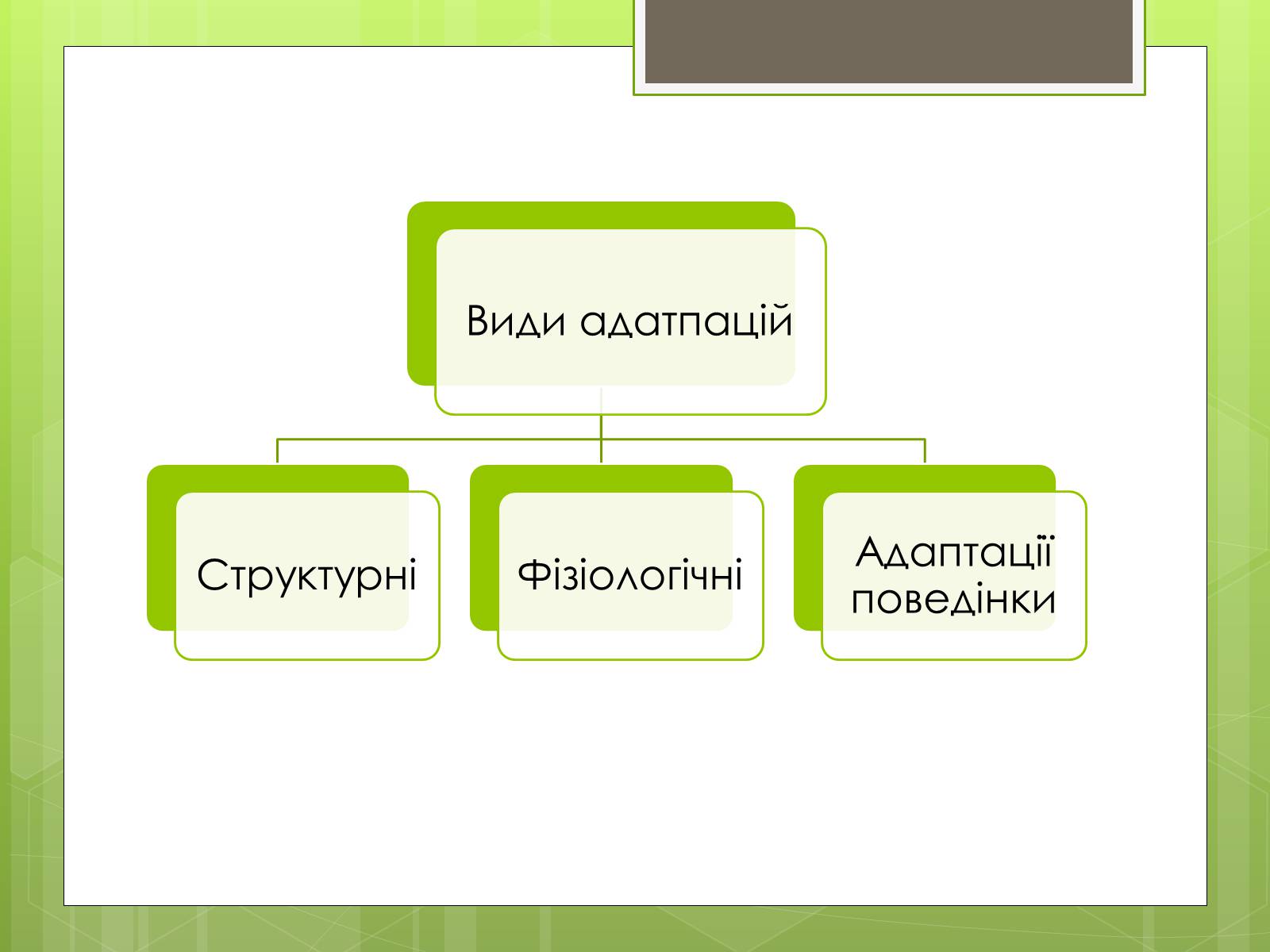 Презентація на тему «Адаптація людини до навколишнього середовища» - Слайд #5 Презентація на тему «Адаптація людини до навколишнього середовища» - Слайд #5