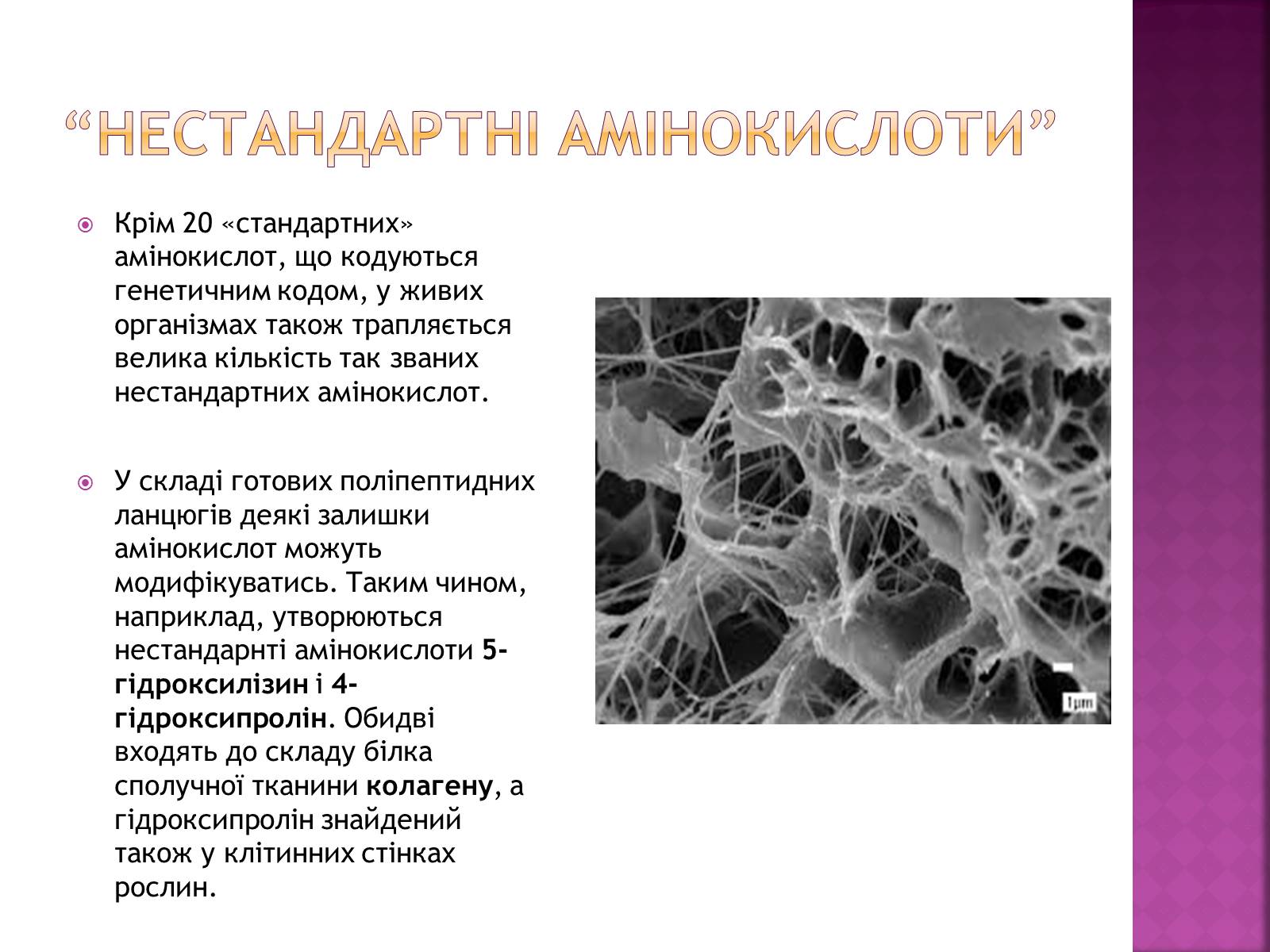 Презентація на тему «Амінокислоти» (варіант 1) - Слайд #6 Презентація на тему «Амінокислоти» (варіант 1) - Слайд #6