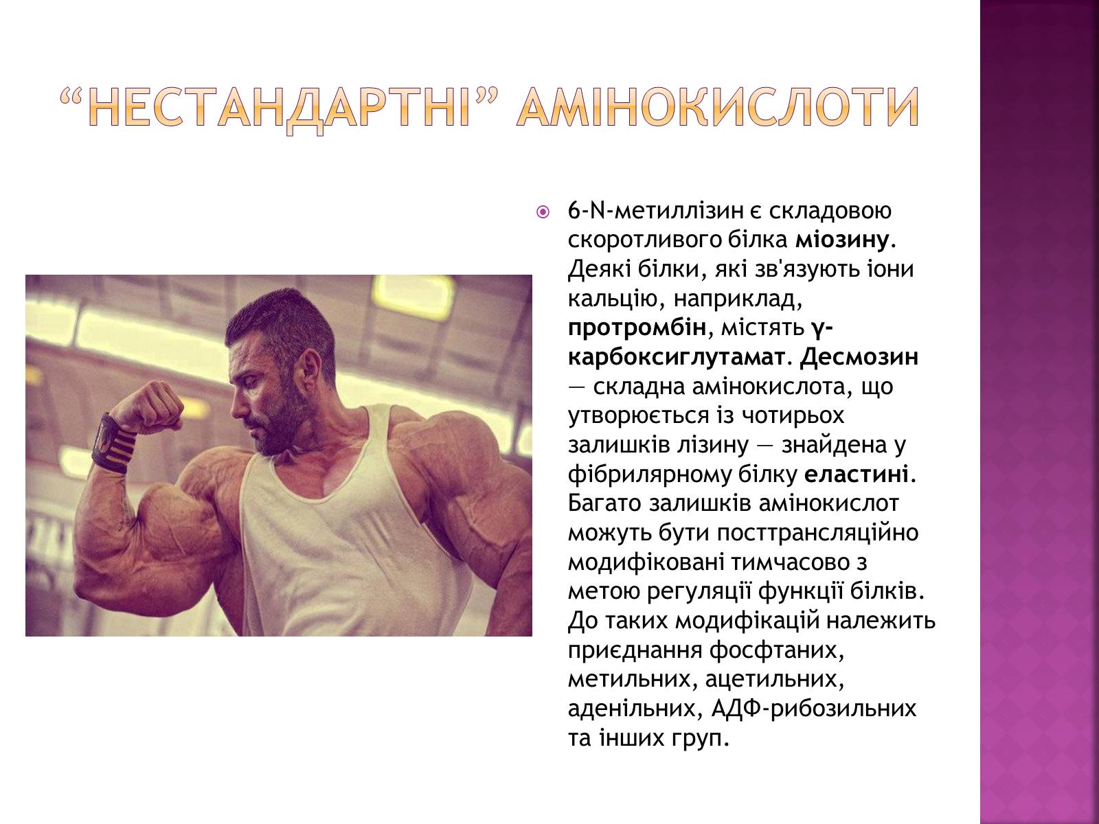 Презентація на тему «Амінокислоти» (варіант 1) - Слайд #7 Презентація на тему «Амінокислоти» (варіант 1) - Слайд #7