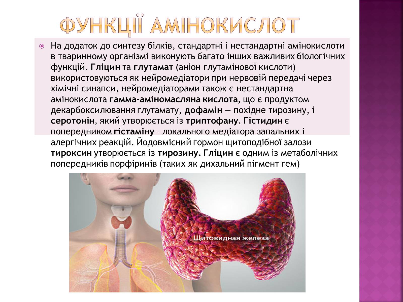 Презентація на тему «Амінокислоти» (варіант 1) - Слайд #9 Презентація на тему «Амінокислоти» (варіант 1) - Слайд #9