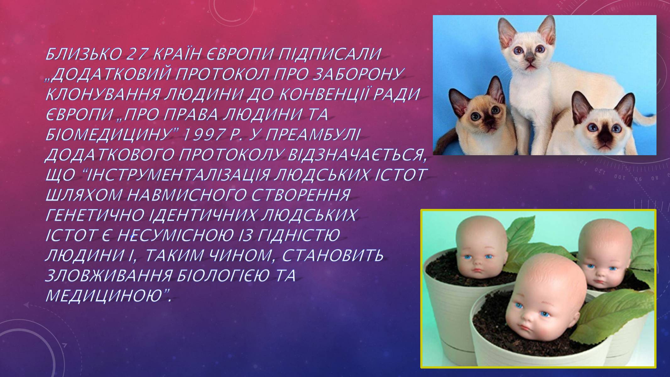 Презентація на тему «Клонування людини» - Слайд #11 Презентація на тему «Клонування людини» - Слайд #11