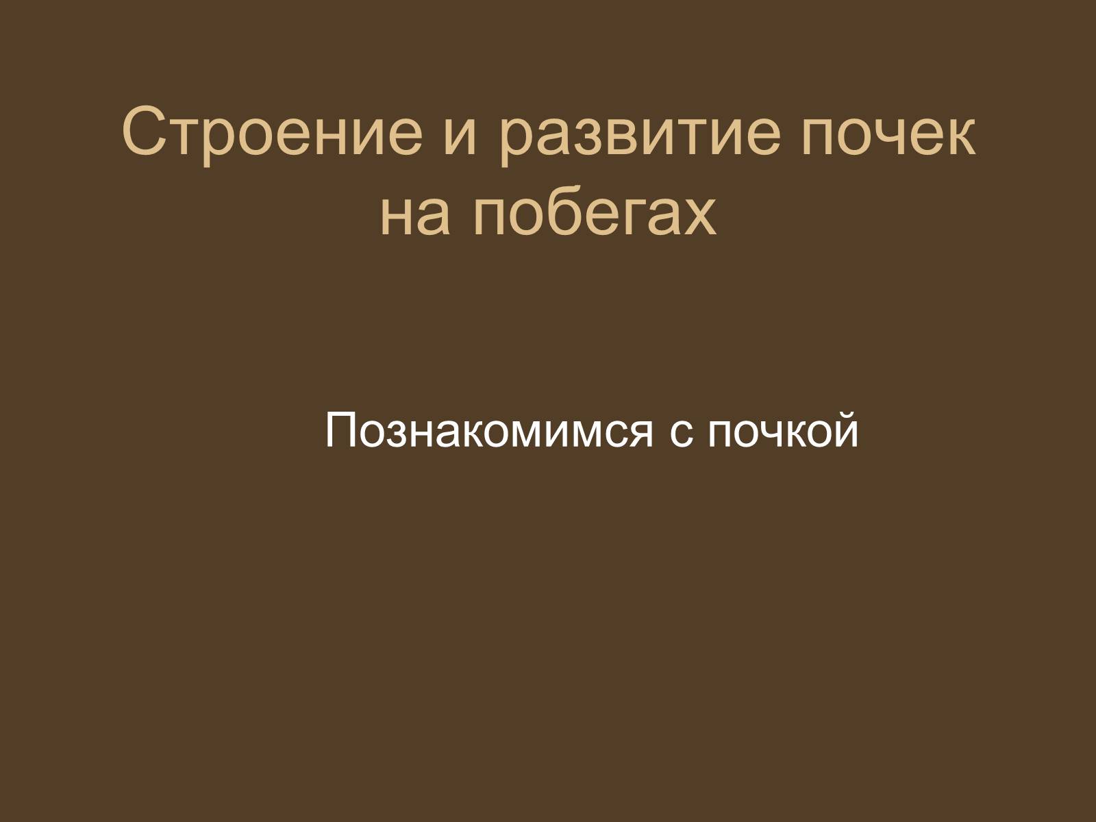 Презентація на тему «Строение и развитие почек на побегах» - Слайд #3 Презентація на тему «Строение и развитие почек на побегах» - Слайд #3