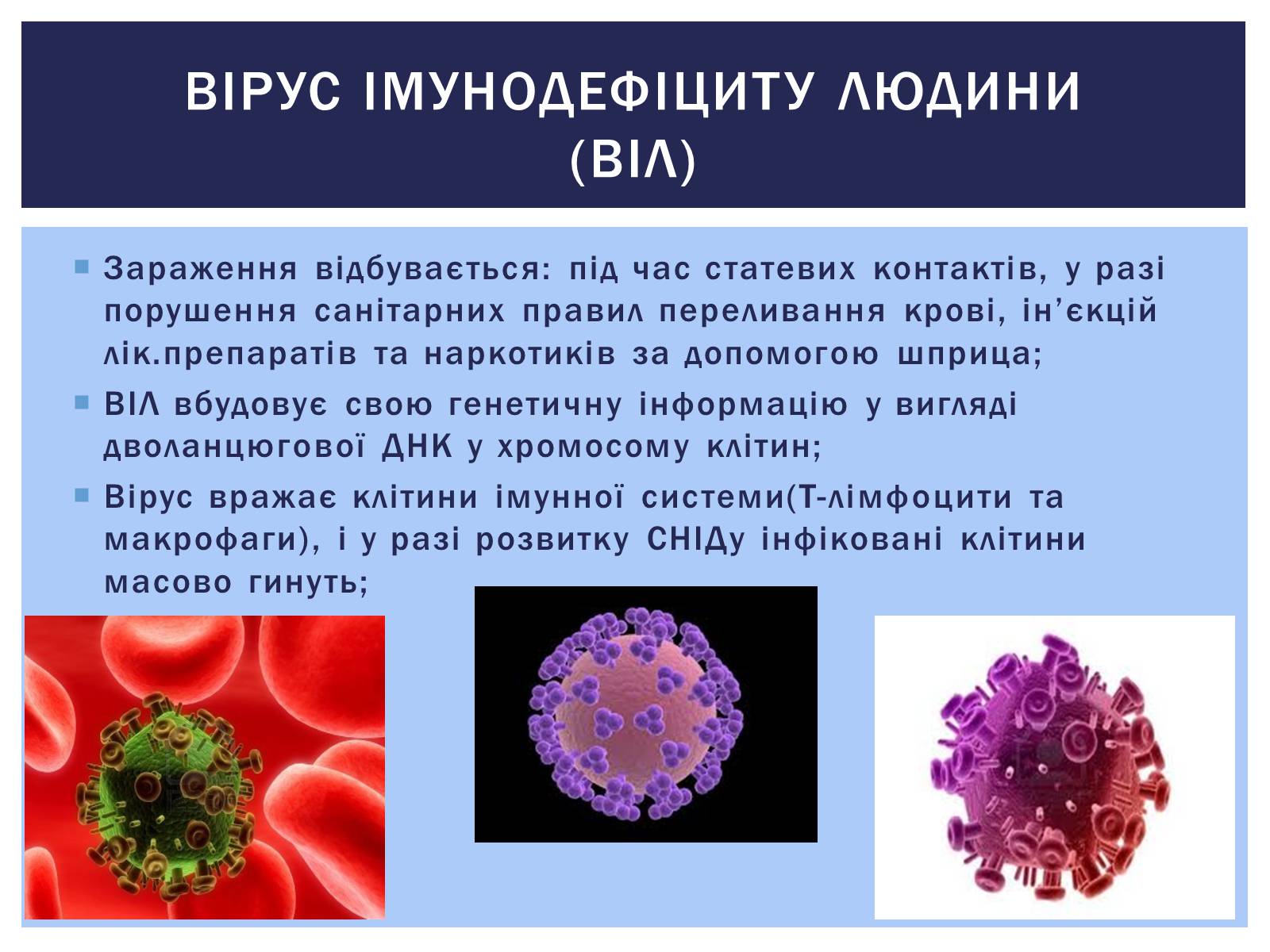 Презентація на тему «Роль вірусів у житті людини. Вірусні інфекції людини і тварин.» - Слайд #10 Презентація на тему «Роль вірусів у житті людини. Вірусні інфекції людини і тварин.» - Слайд #10
