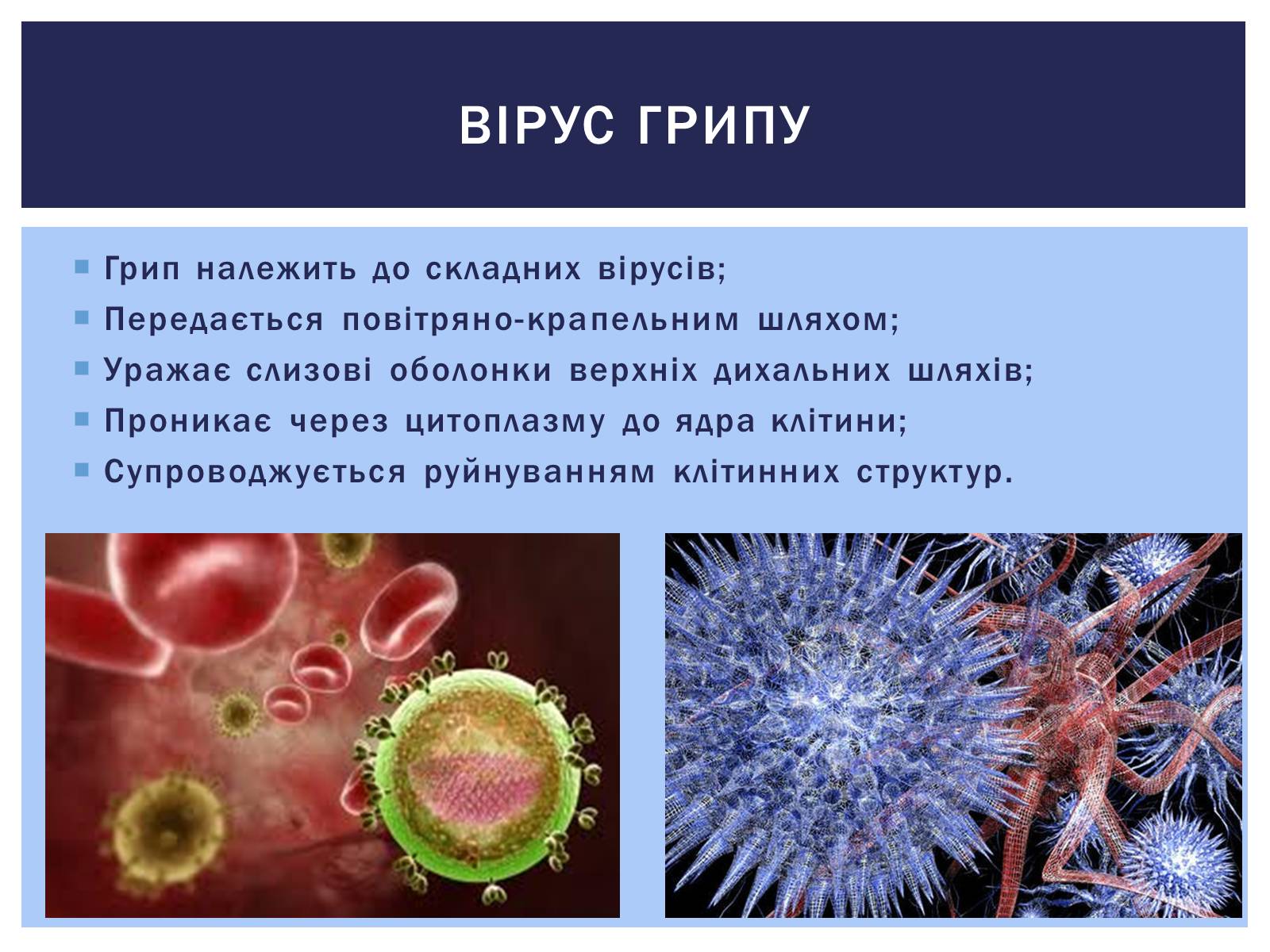 Презентація на тему «Роль вірусів у житті людини. Вірусні інфекції людини і тварин.» - Слайд #9 Презентація на тему «Роль вірусів у житті людини. Вірусні інфекції людини і тварин.» - Слайд #9