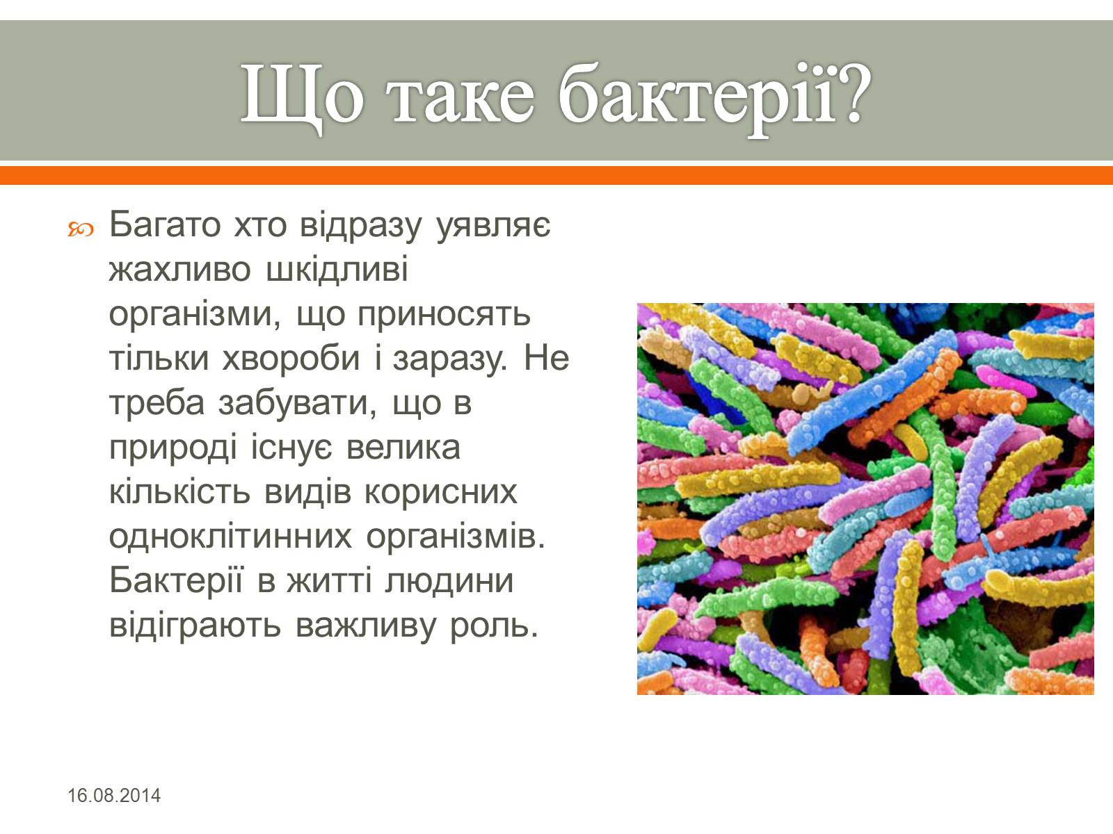 Презентація на тему «Бактерії» (варіант 1) - Слайд #2 Презентація на тему «Бактерії» (варіант 1) - Слайд #2