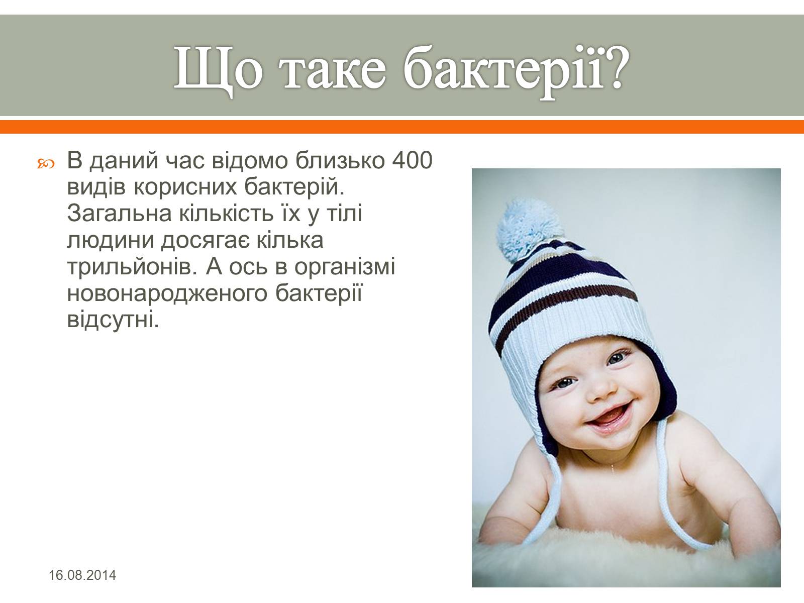 Презентація на тему «Бактерії» (варіант 1) - Слайд #4 Презентація на тему «Бактерії» (варіант 1) - Слайд #4