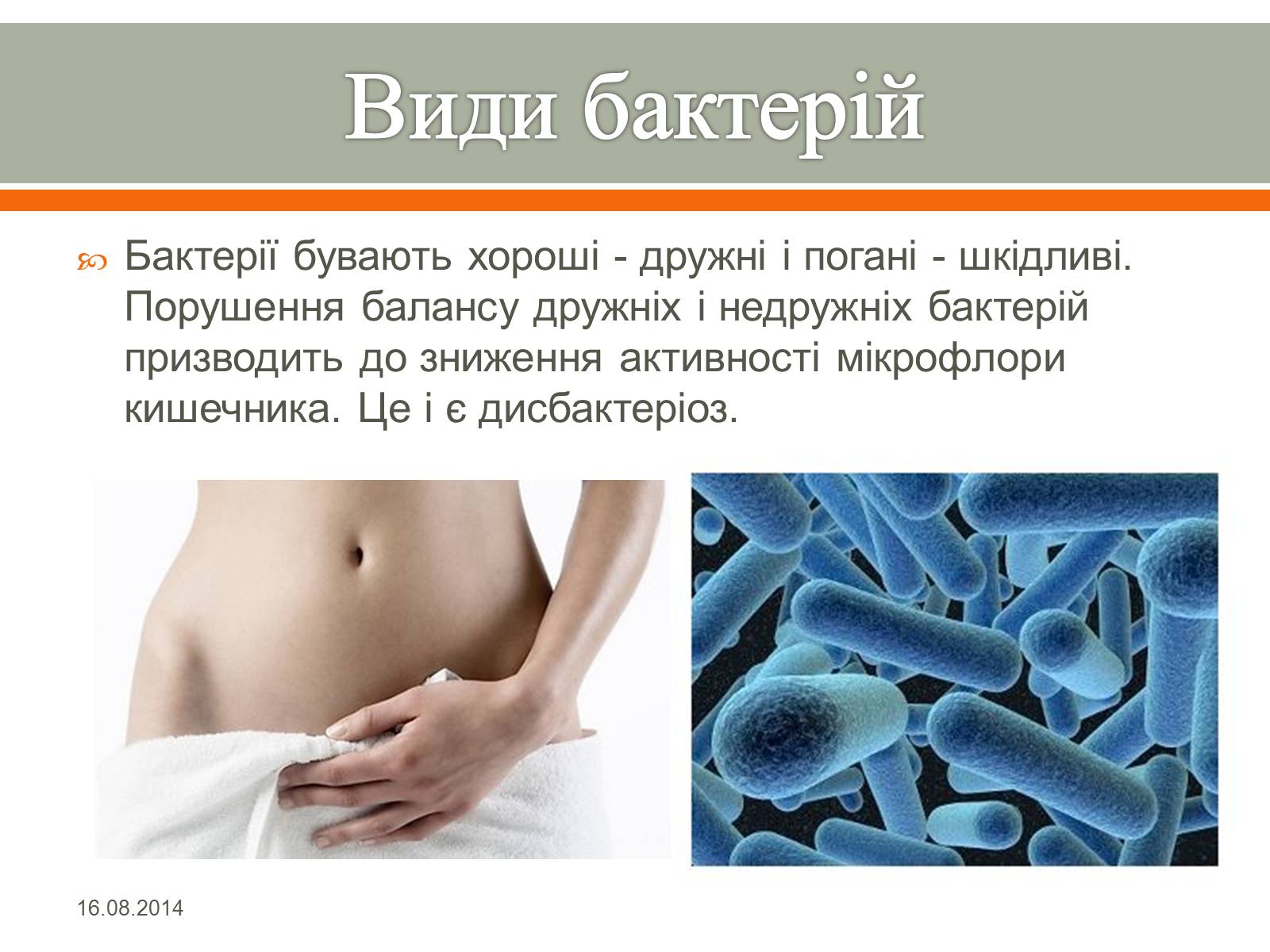 Презентація на тему «Бактерії» (варіант 1) - Слайд #5 Презентація на тему «Бактерії» (варіант 1) - Слайд #5