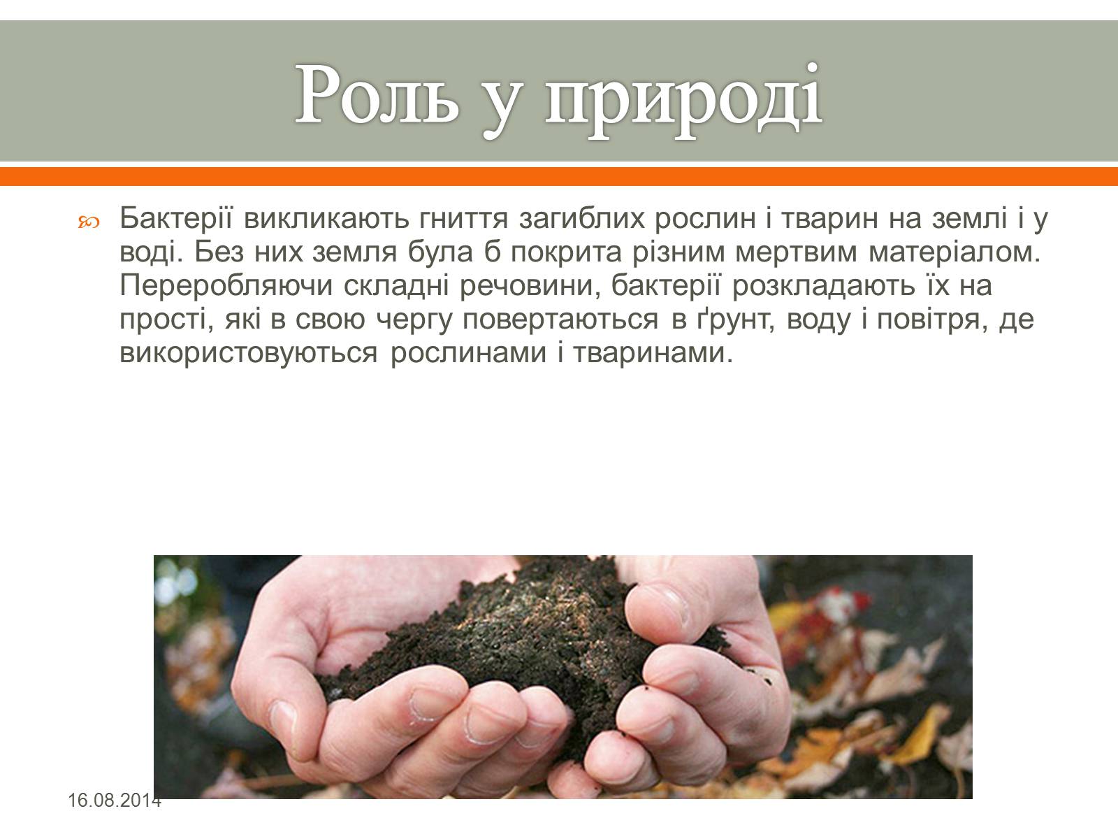 Презентація на тему «Бактерії» (варіант 1) - Слайд #6 Презентація на тему «Бактерії» (варіант 1) - Слайд #6