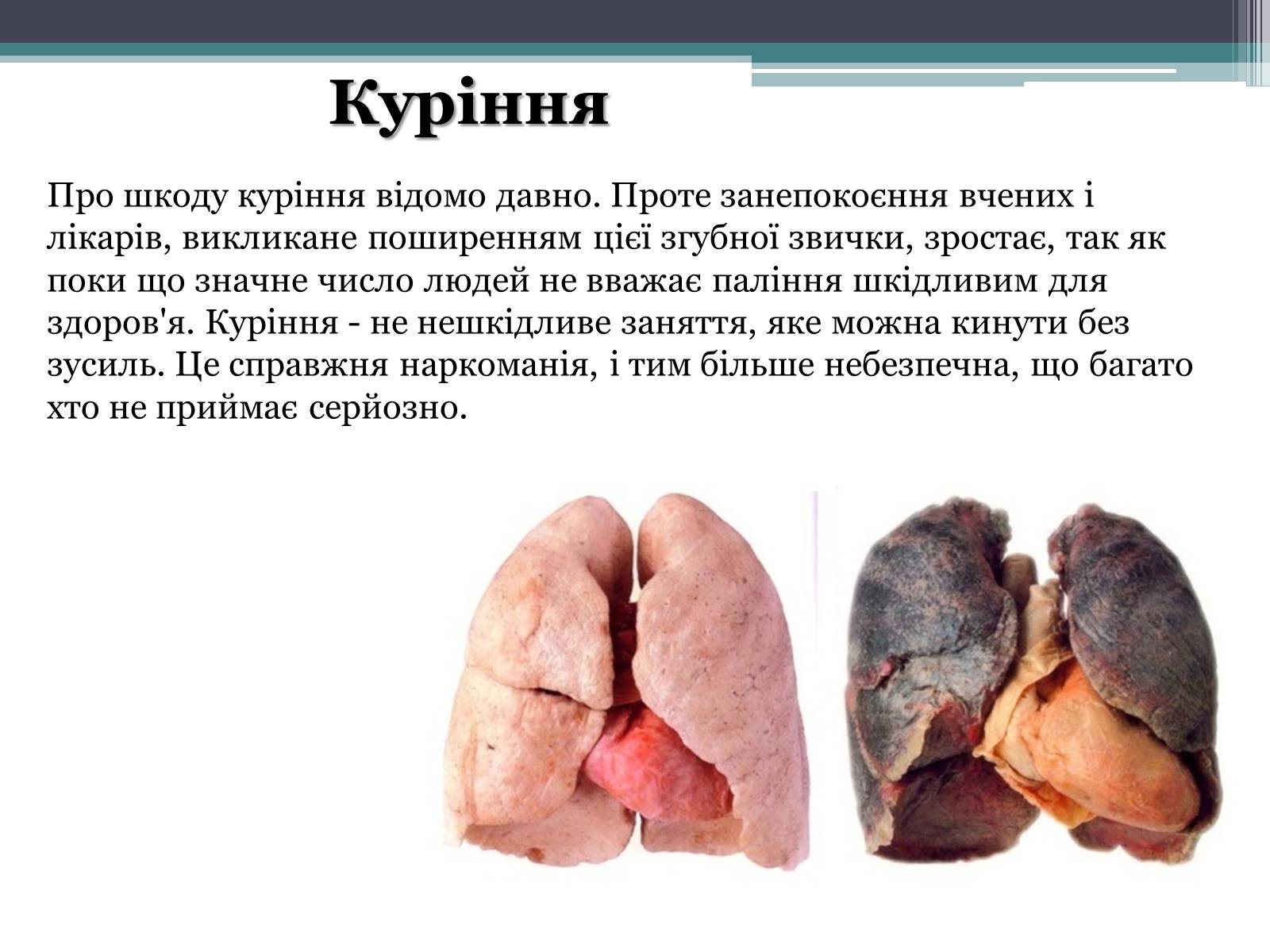 Презентація на тему «Вплив куріння, алкоголю та наркотиків на здоров’я людини» - Слайд #3 Презентація на тему «Вплив куріння, алкоголю та наркотиків на здоров’я людини» - Слайд #3