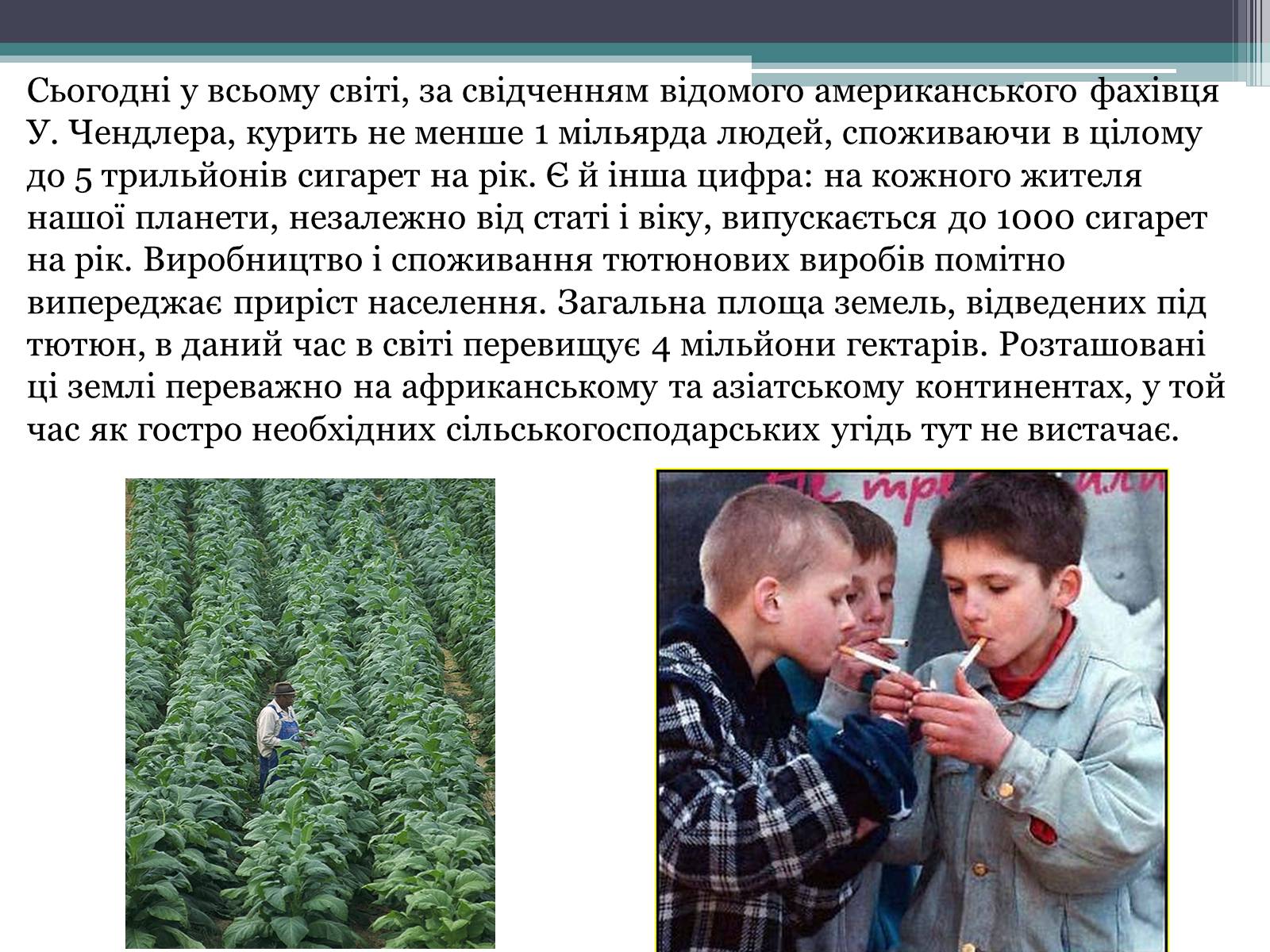 Презентація на тему «Вплив куріння, алкоголю та наркотиків на здоров’я людини» - Слайд #4 Презентація на тему «Вплив куріння, алкоголю та наркотиків на здоров’я людини» - Слайд #4