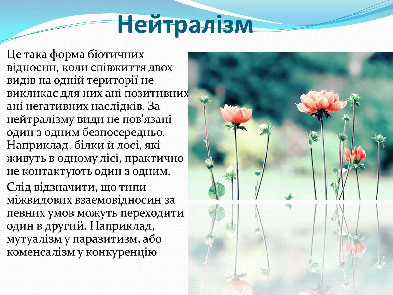 Презентація на тему «Взаємовплив рослин» - Слайд #14 Презентація на тему «Взаємовплив рослин» - Слайд #14