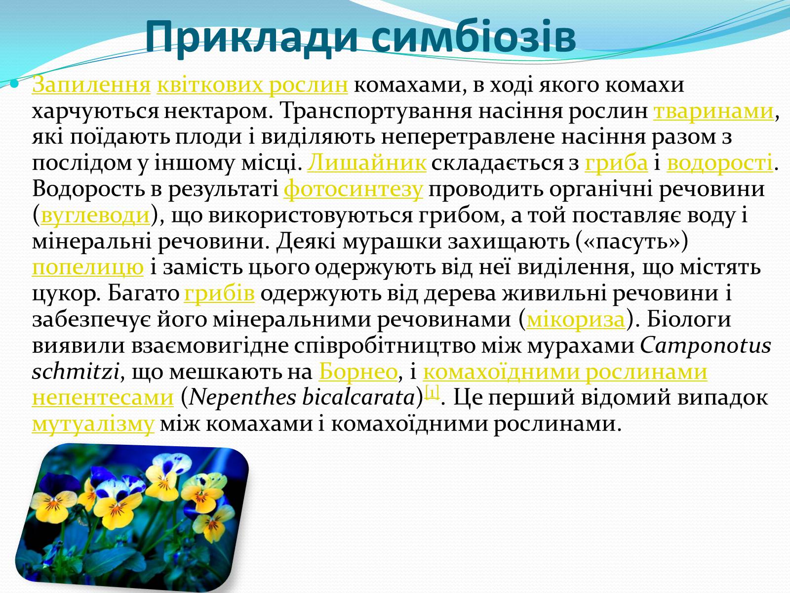 Презентація на тему «Взаємовплив рослин» - Слайд #3 Презентація на тему «Взаємовплив рослин» - Слайд #3