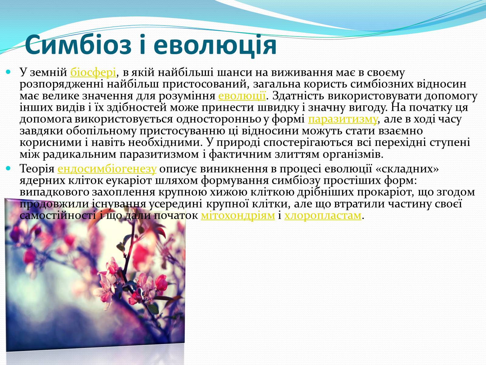 Презентація на тему «Взаємовплив рослин» - Слайд #4 Презентація на тему «Взаємовплив рослин» - Слайд #4