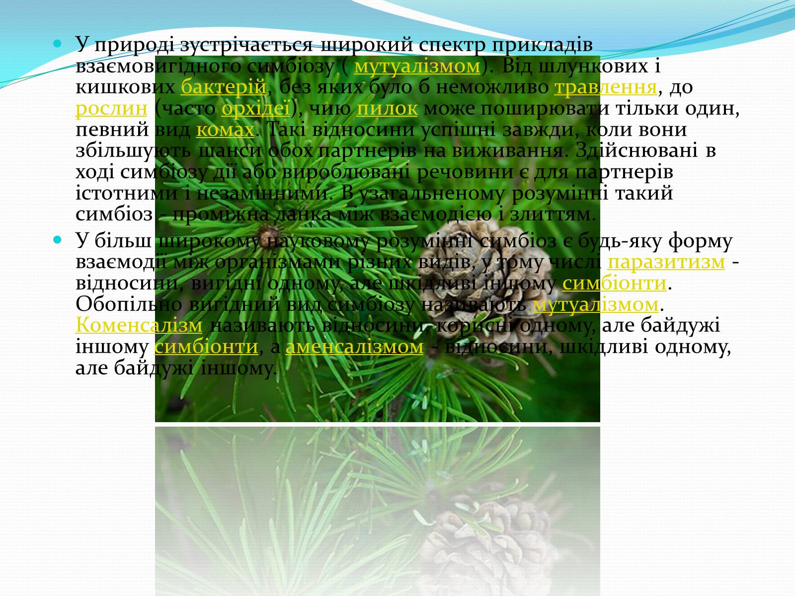 Презентація на тему «Взаємовплив рослин» - Слайд #6 Презентація на тему «Взаємовплив рослин» - Слайд #6