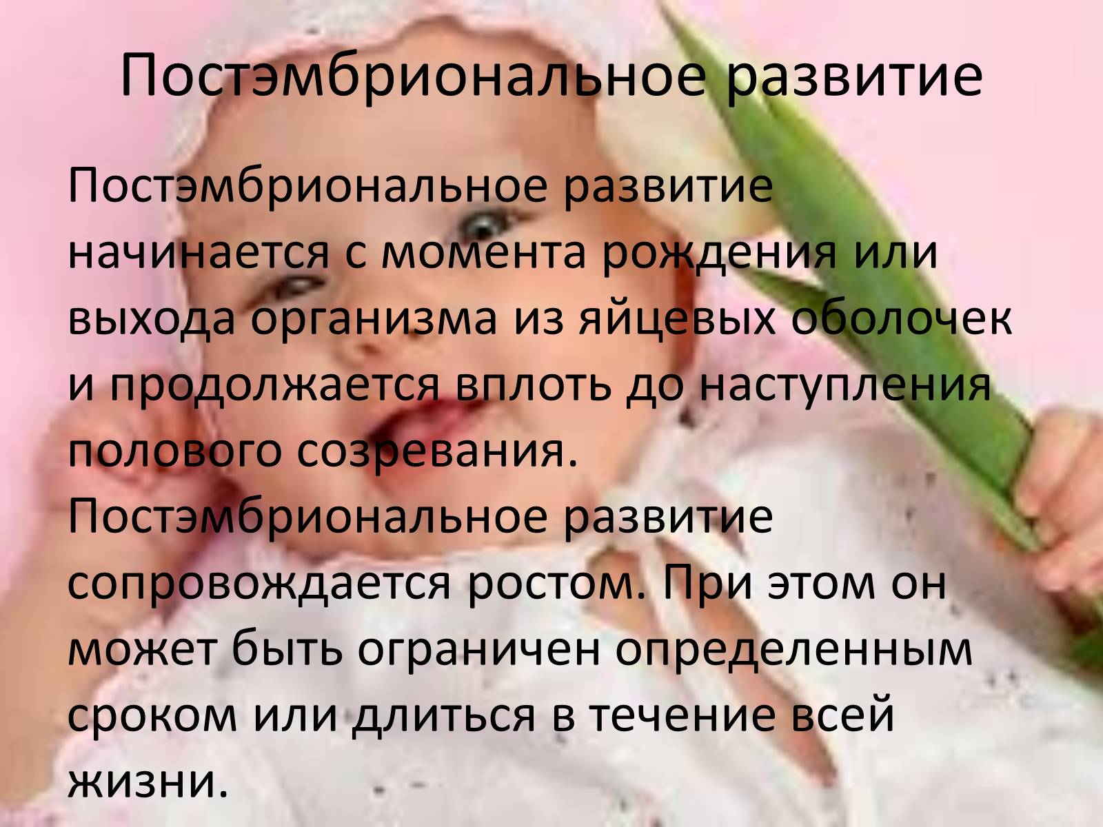 Презентація на тему «Онтогенез» (варіант 3) - Слайд #6 Презентація на тему «Онтогенез» (варіант 3) - Слайд #6