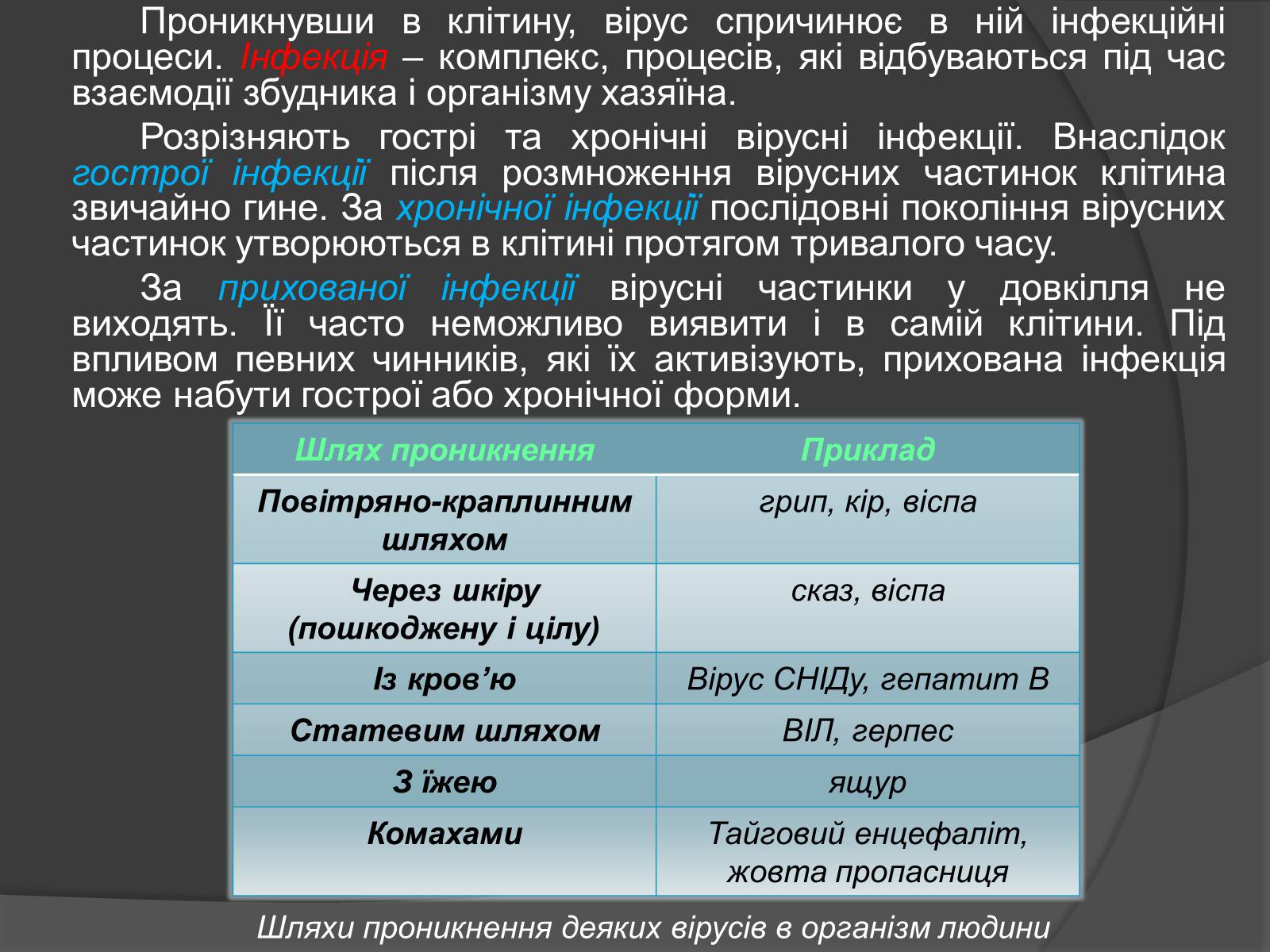 Презентація на тему «Віруси» (варіант 20) - Слайд #11 Презентація на тему «Віруси» (варіант 20) - Слайд #11