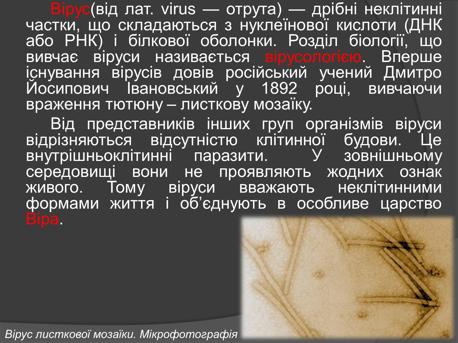 Презентація на тему «Віруси» (варіант 20) - Слайд #2 Презентація на тему «Віруси» (варіант 20) - Слайд #2