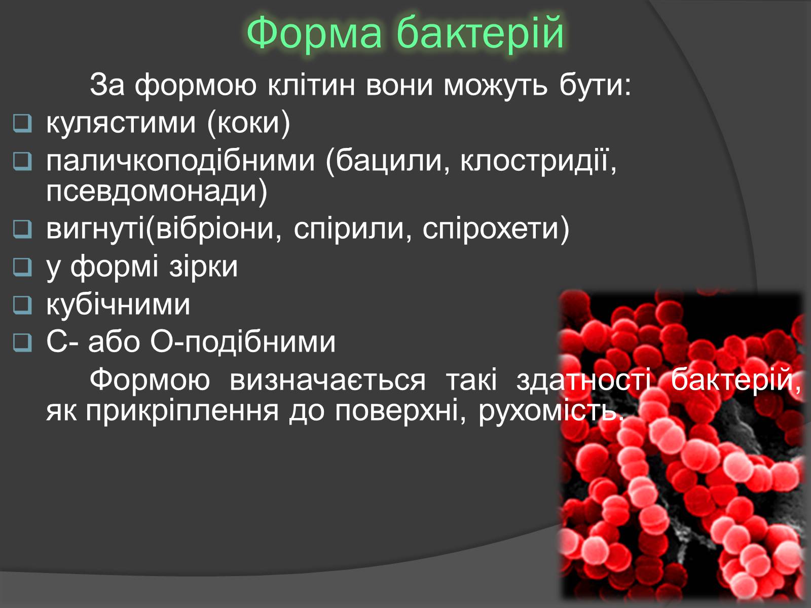 Презентація на тему «Віруси» (варіант 20) - Слайд #23 Презентація на тему «Віруси» (варіант 20) - Слайд #23